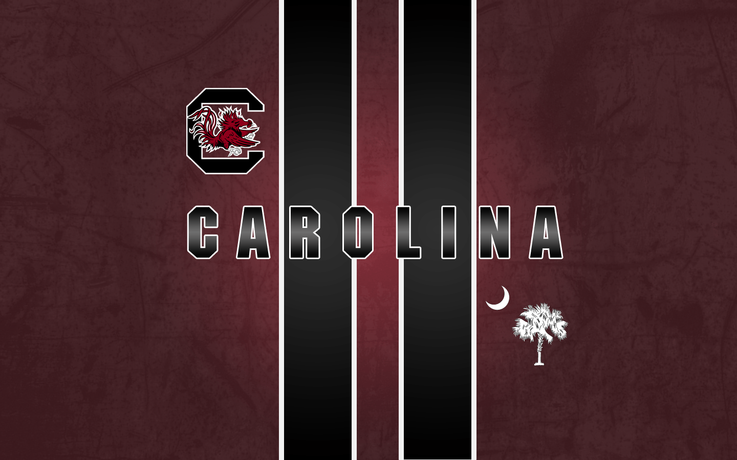 South Carolina Gamecocks Wallpapers - Top Free South Carolina Gamecocks