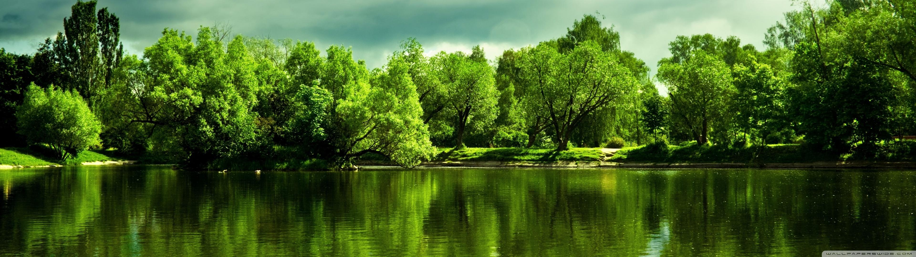 3840x1080 Green Trees Ultra HD Desktop Background Wallpaper for 4K UHD TV : Widescreen & UltraWide Desktop & Laptop : Multi Display, Dual Monitor : Tablet