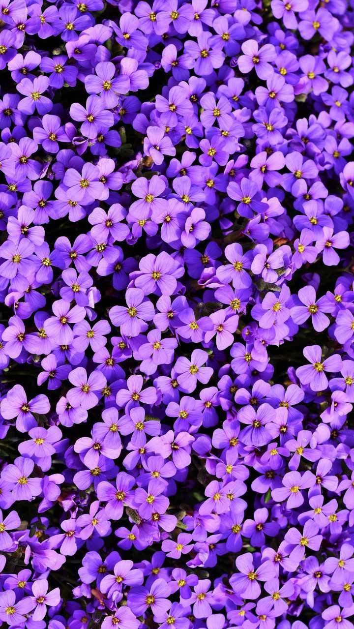 720x1279 Beautiful