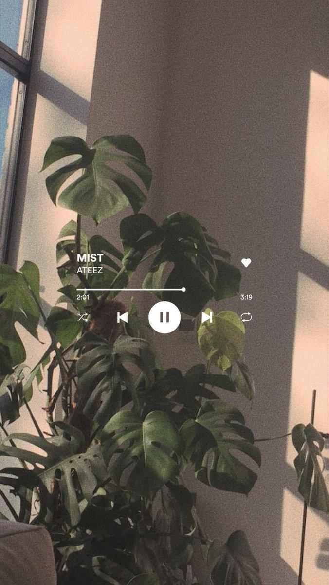 676x1200 teekei