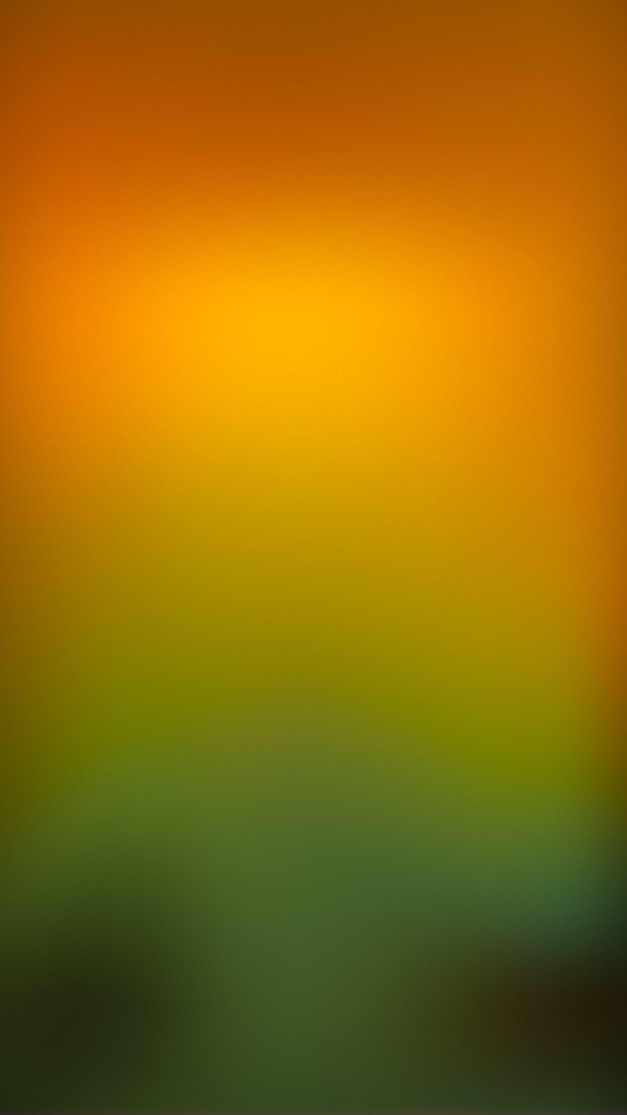Many leaves green and orange 1125x2436 iPhone 11 ProXSX wallpaper  background picture image