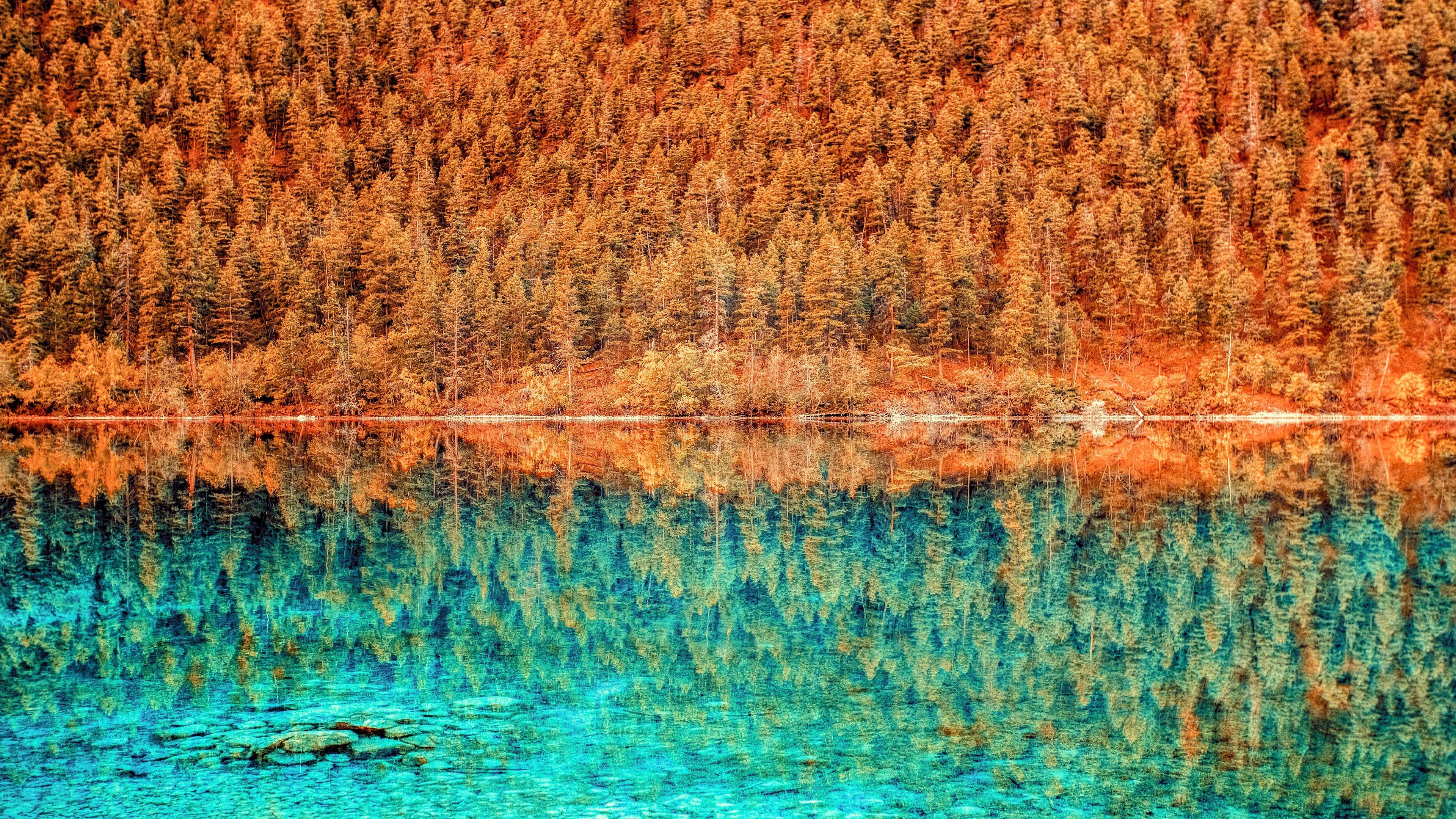 3840x2160 Wallpaper 4k Autumn Fall Orange Green Trees Outdoors 5k 4k Wallpaper, 5k Wallpaper, Autumn Wallpaper, Green Wallpaper, Hd Wallpaper, Orange Wallpaper, Outdoors Wallpaper, Trees Wallpaper