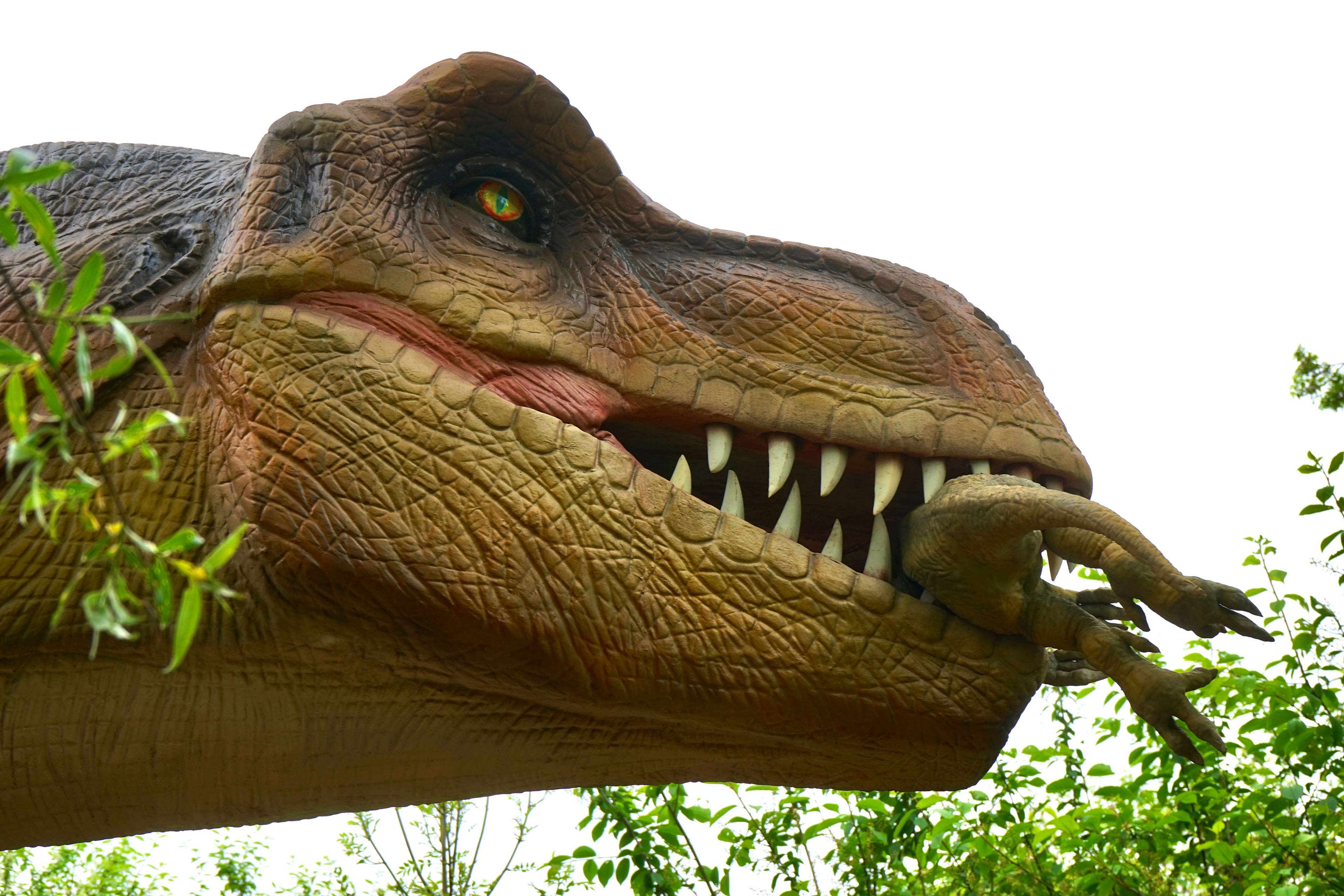 Scary Dinosaur Wallpapers Top Free Scary Dinosaur Backgrounds WallpaperAccess