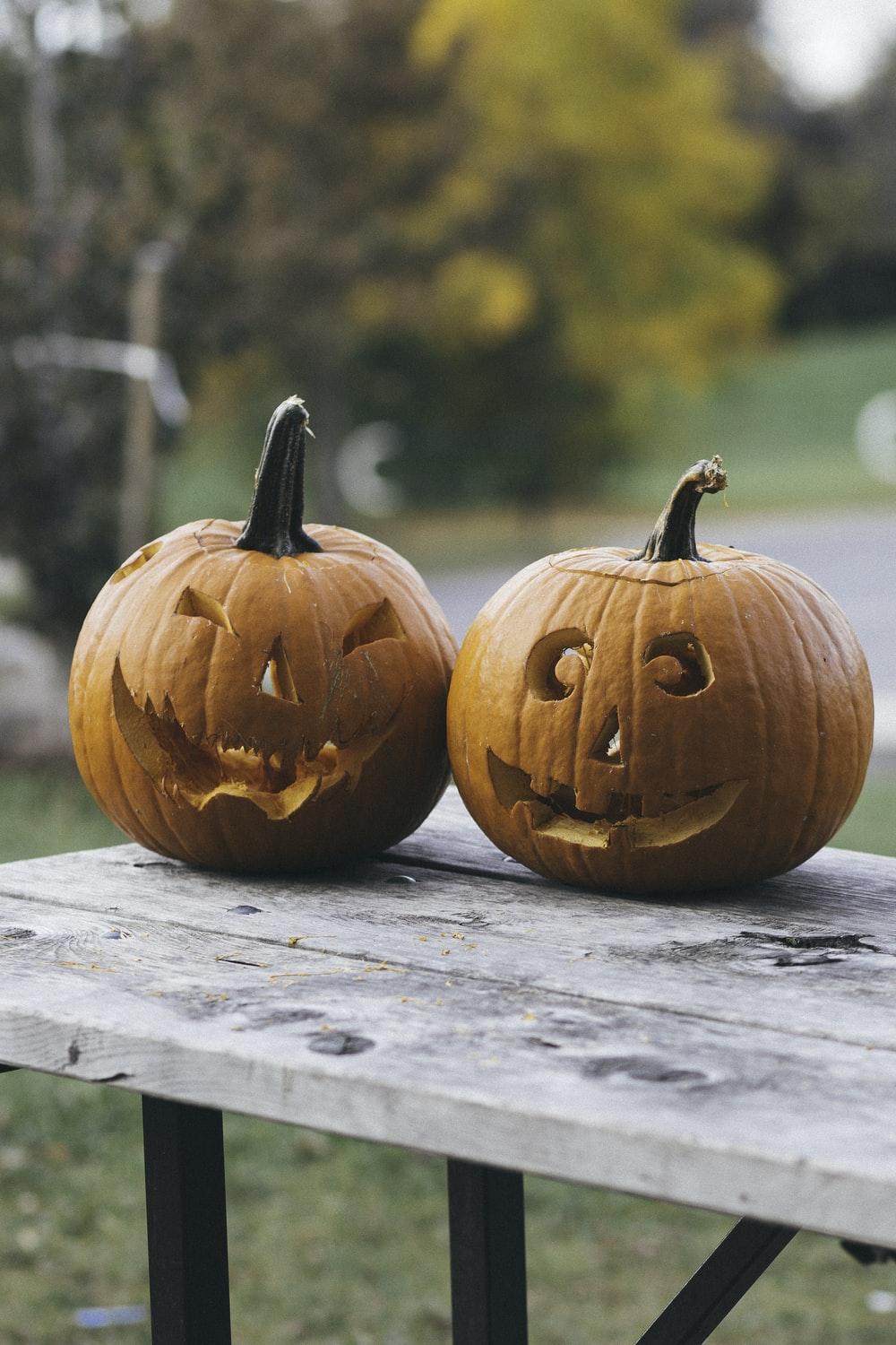 1000x1500 Pumpkin Picture [HD]. Download Free Image