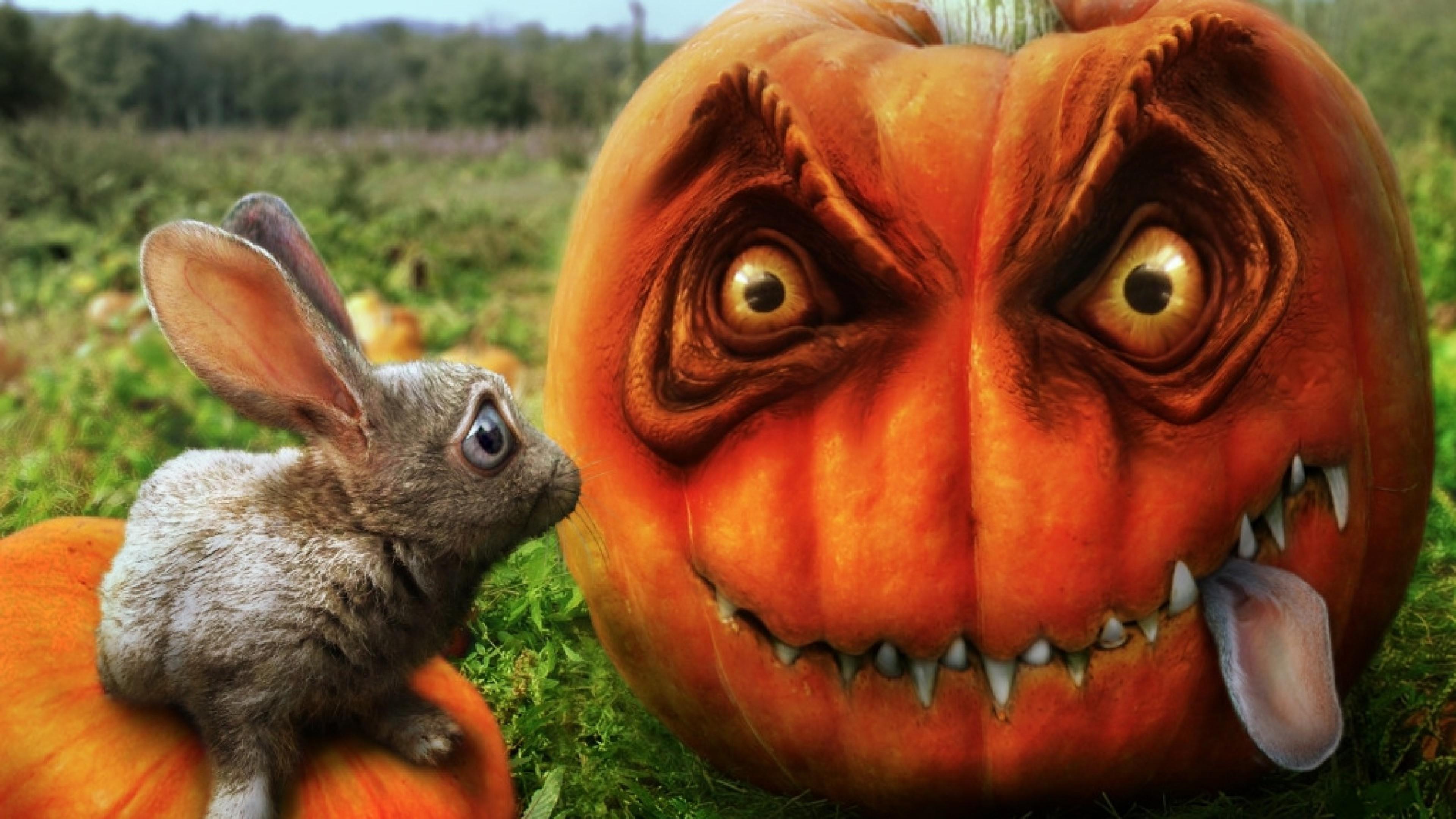 3840x2160 Creepy Halloween Pumpkin HD Wallpaper 4K Ultra HD
