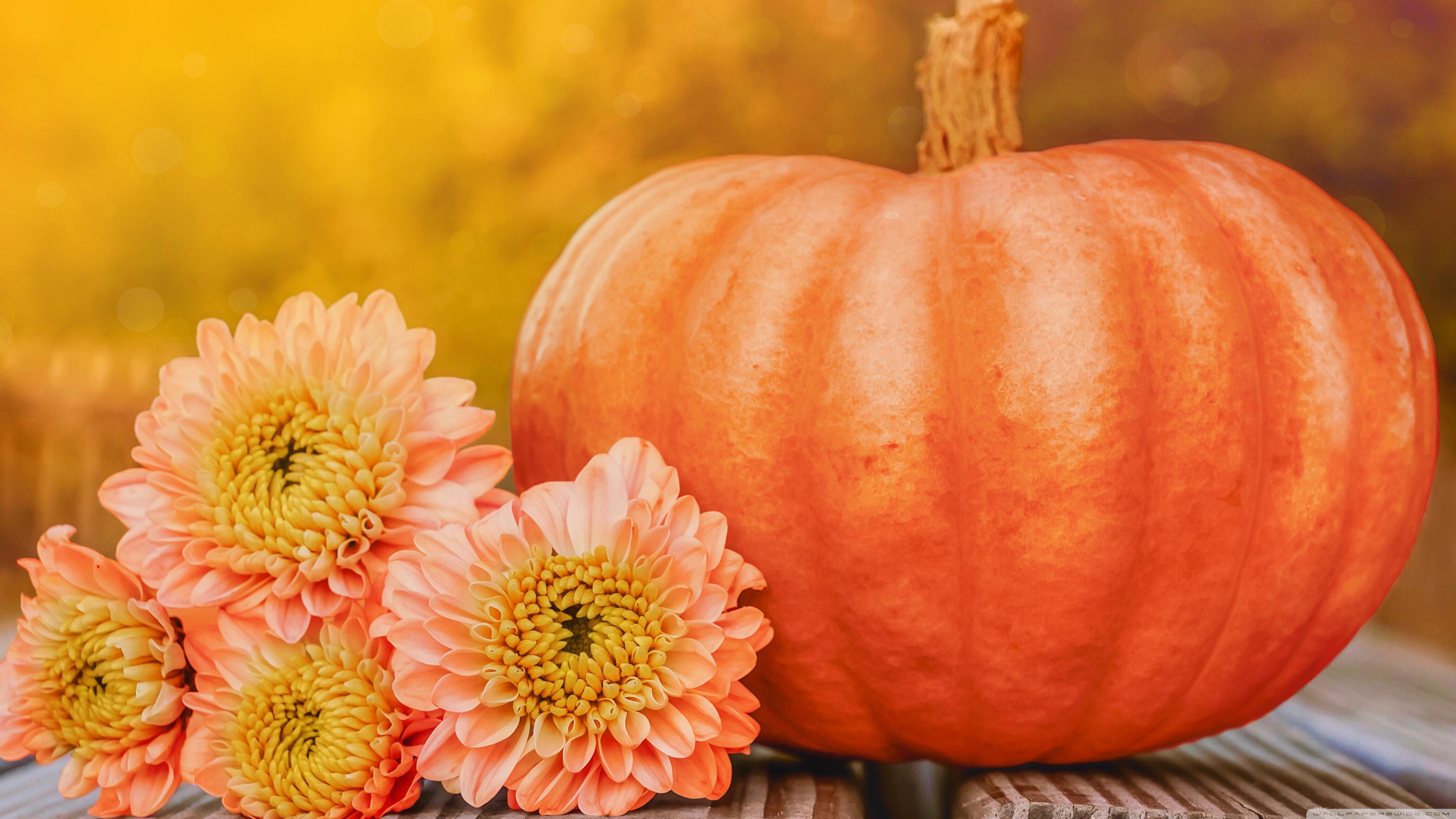 3840x2160 Happy Halloween Pumpkin Ultra HD Desktop Background Wallpaper for 4K UHD TV : Widescreen & UltraWide Desktop & Laptop : Tablet