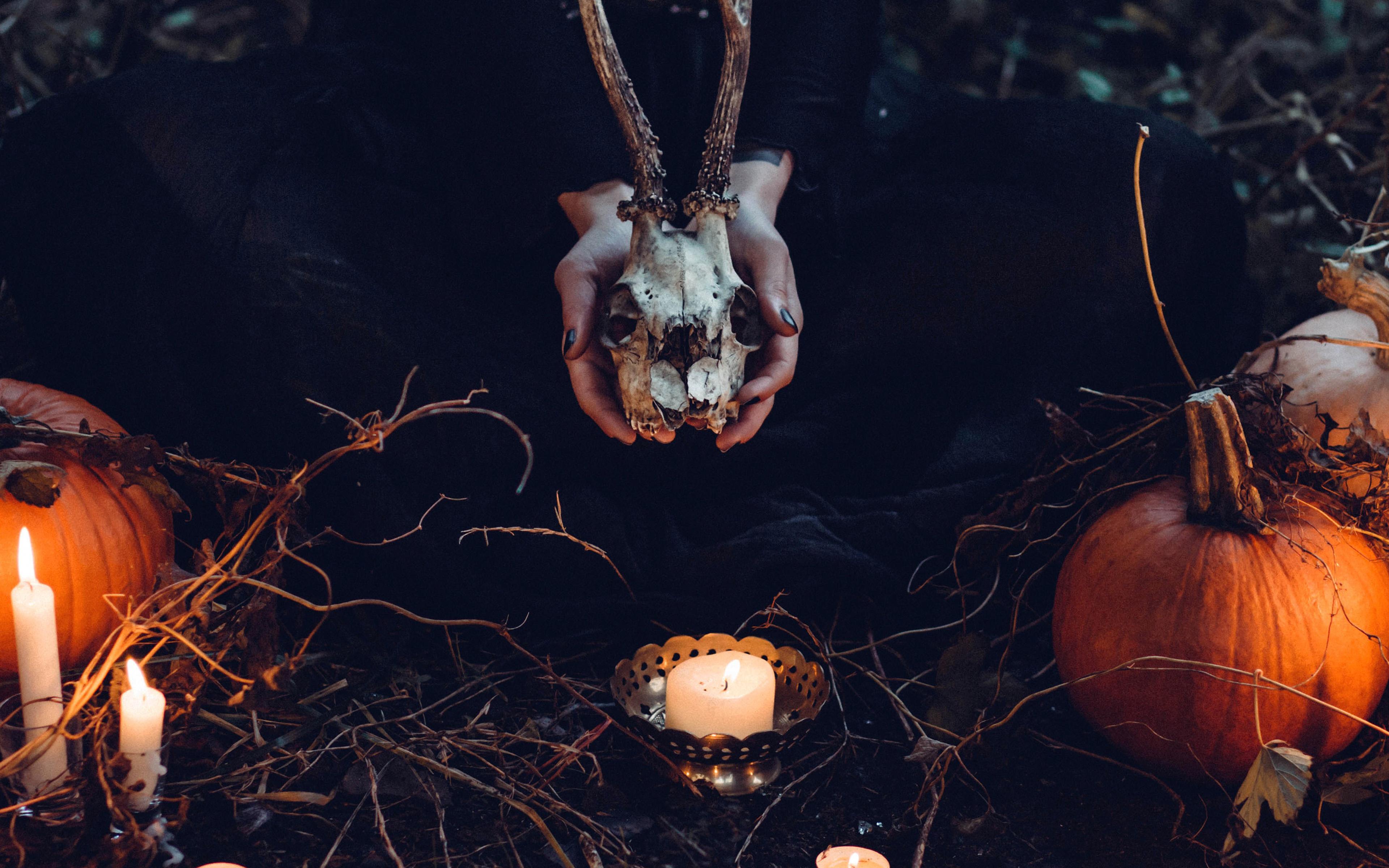 3840x2400 Halloween Pumpkin Skull Dark Nature Wallpaper