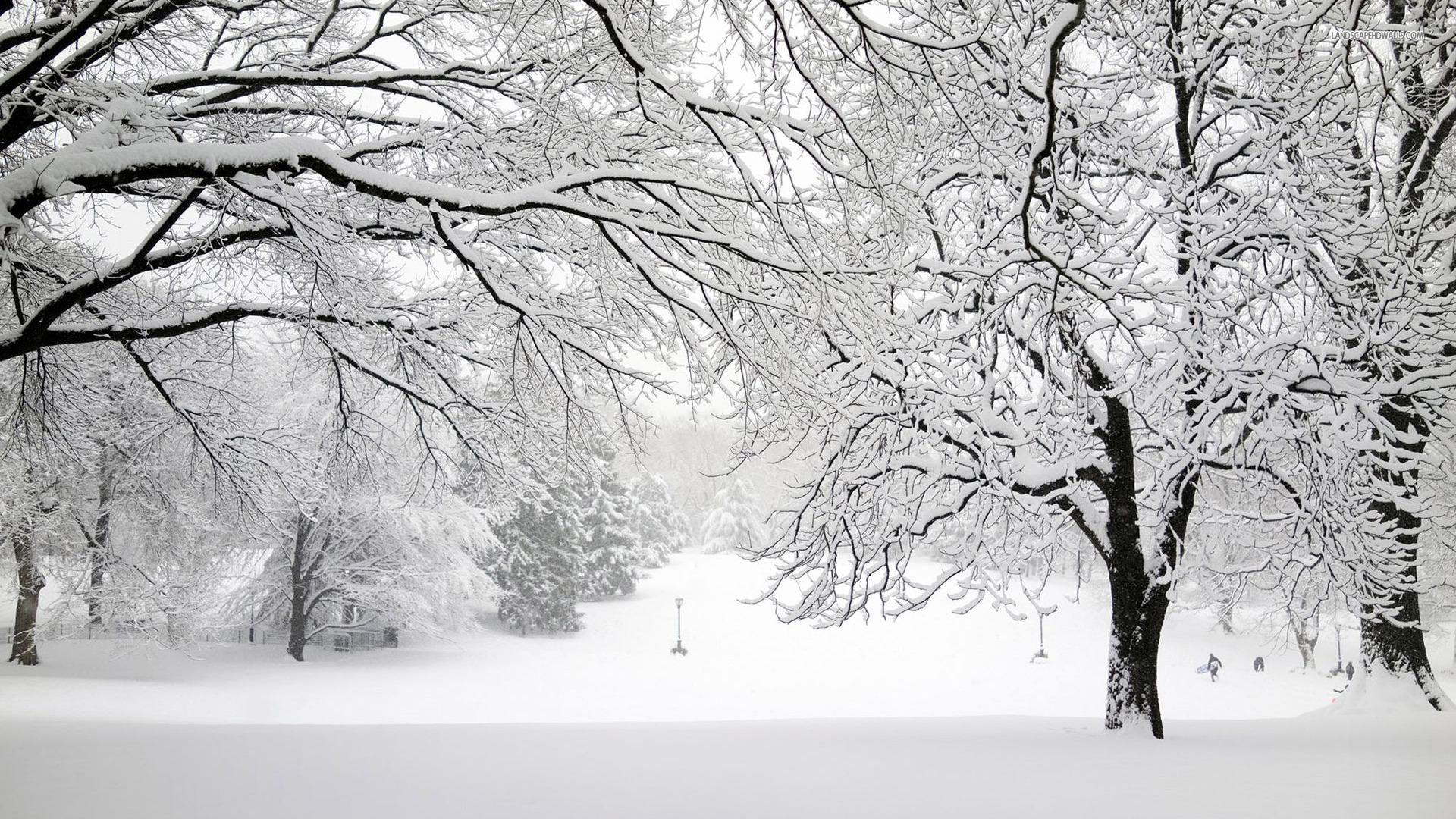 1920x1080 Snowstorm Background. Snowstorm Wallpaper, Snowstorm Wallpaper Eerie and Chickadee Snowstorm Wallpaper