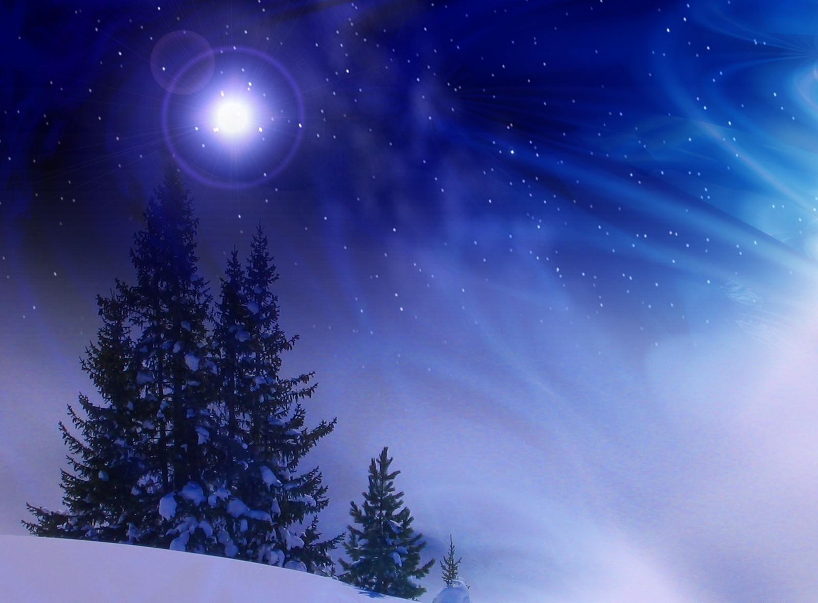 1600x1180 Christmas trees, Snow, Winter, Midnight, Blizzard wallpaper