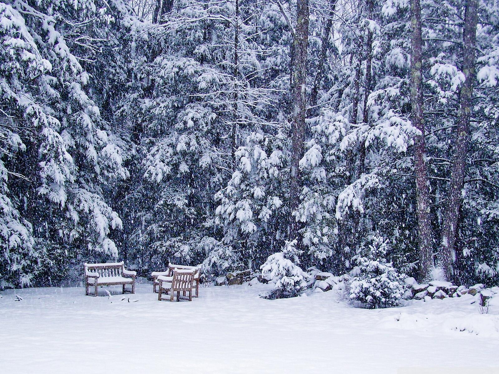1600x1200 Snow Storm Ultra HD Desktop Background Wallpaper for 4K UHD TV : Tablet