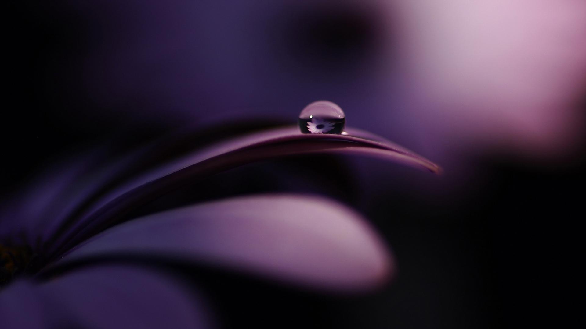 1920x1080 Sony Xperia Z Ultra HD HD Wallpaper
