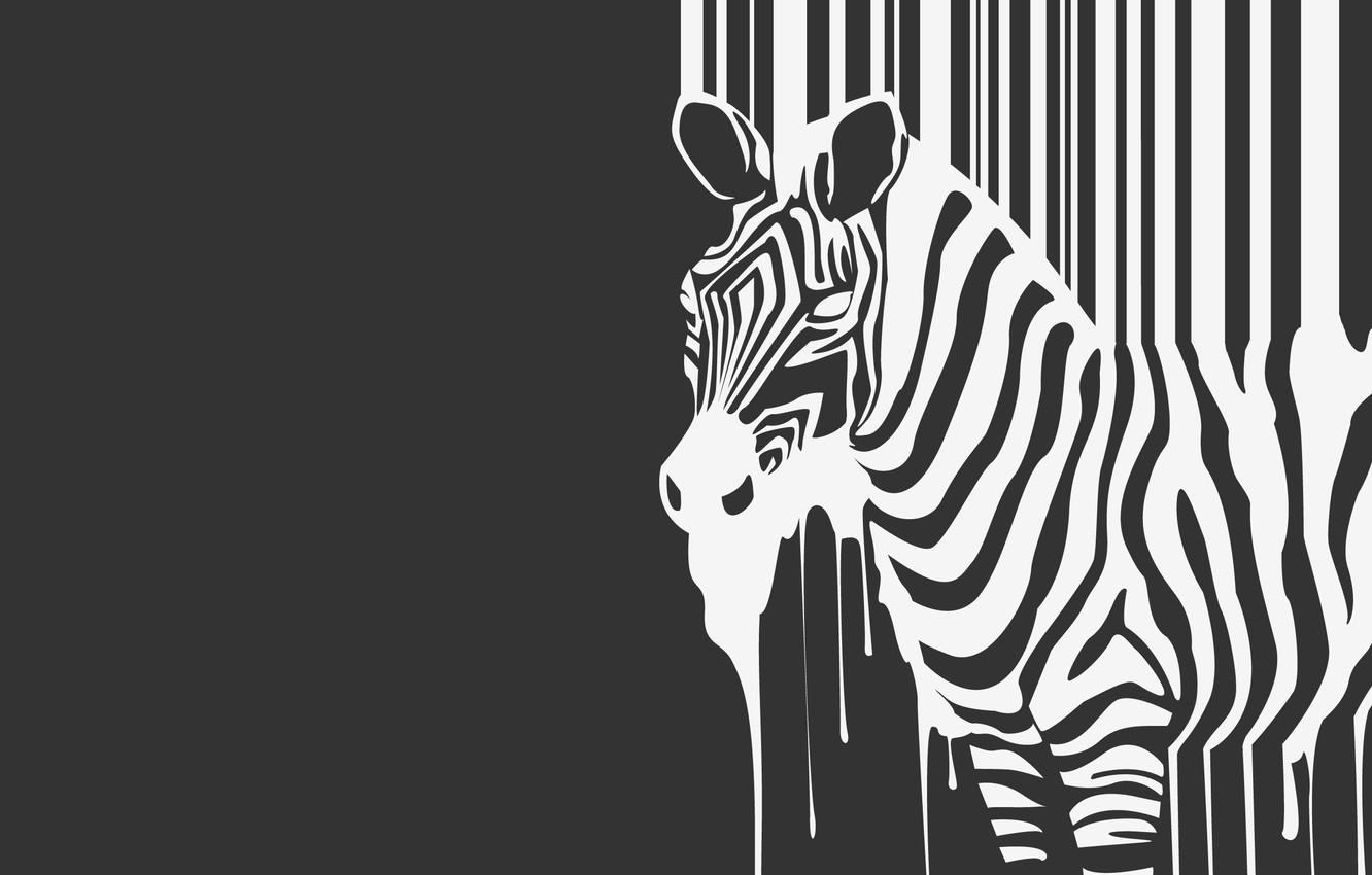 1332x850 Wallpaper Strips, B W, Zebra, Beast, Flows, Animal, Zebra Image For Desktop, Section минимализм