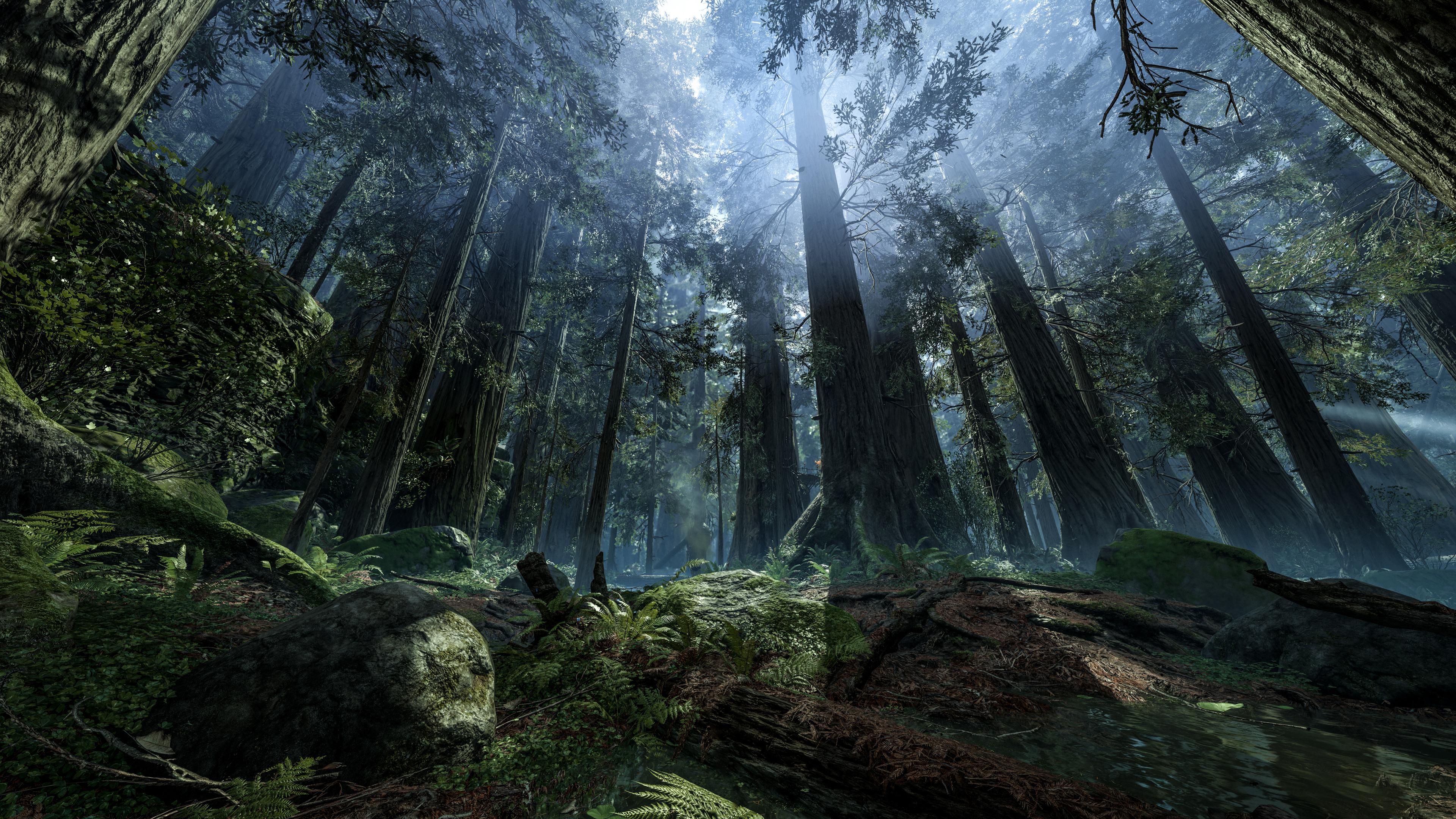 Star Wars Endor Wallpapers - Top Free Star Wars Endor Backgrounds ...