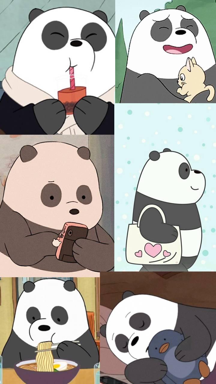 720x1280 Download Panda Wallpaper HD By RubyLeyva. Wallpaper