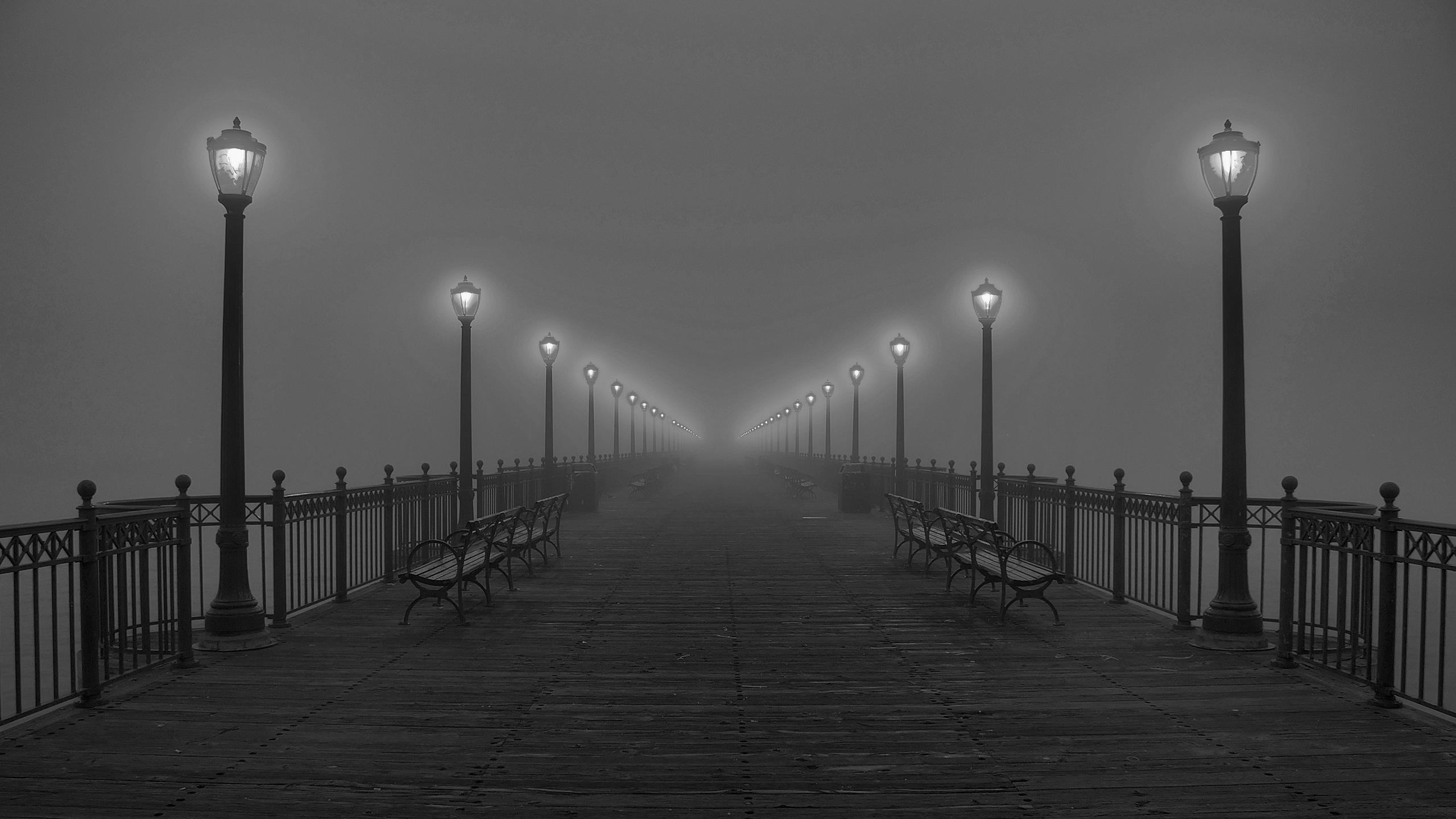 2560x1440 Fog Wallpaper HD