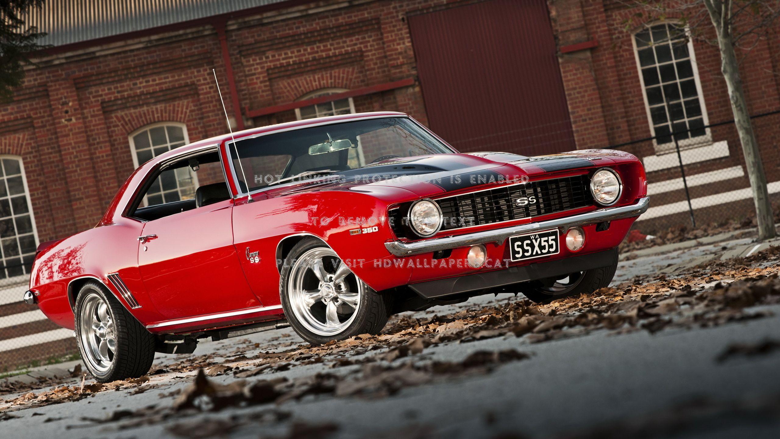 2560x1440 Vintage Camaro HD Wallpaper