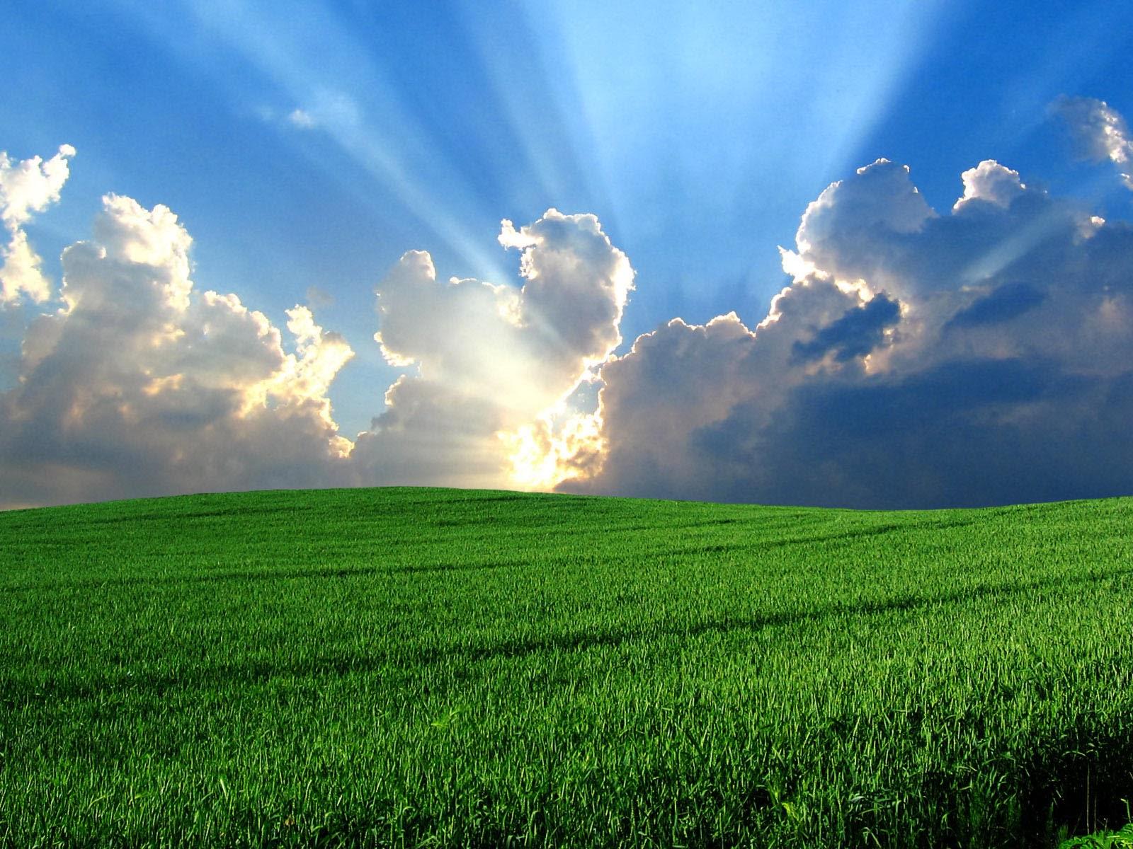 Bliss Wallpapers - Top Free Bliss Backgrounds - WallpaperAccess