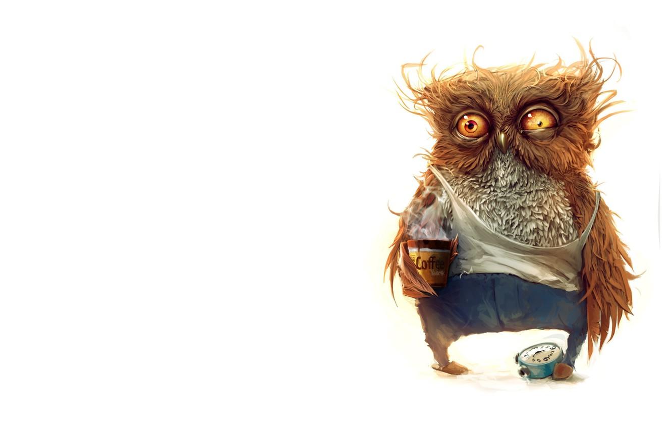 1332x850 Wallpaper coffee, minimalism, art, illustration, owl image for desktop, section минимализм