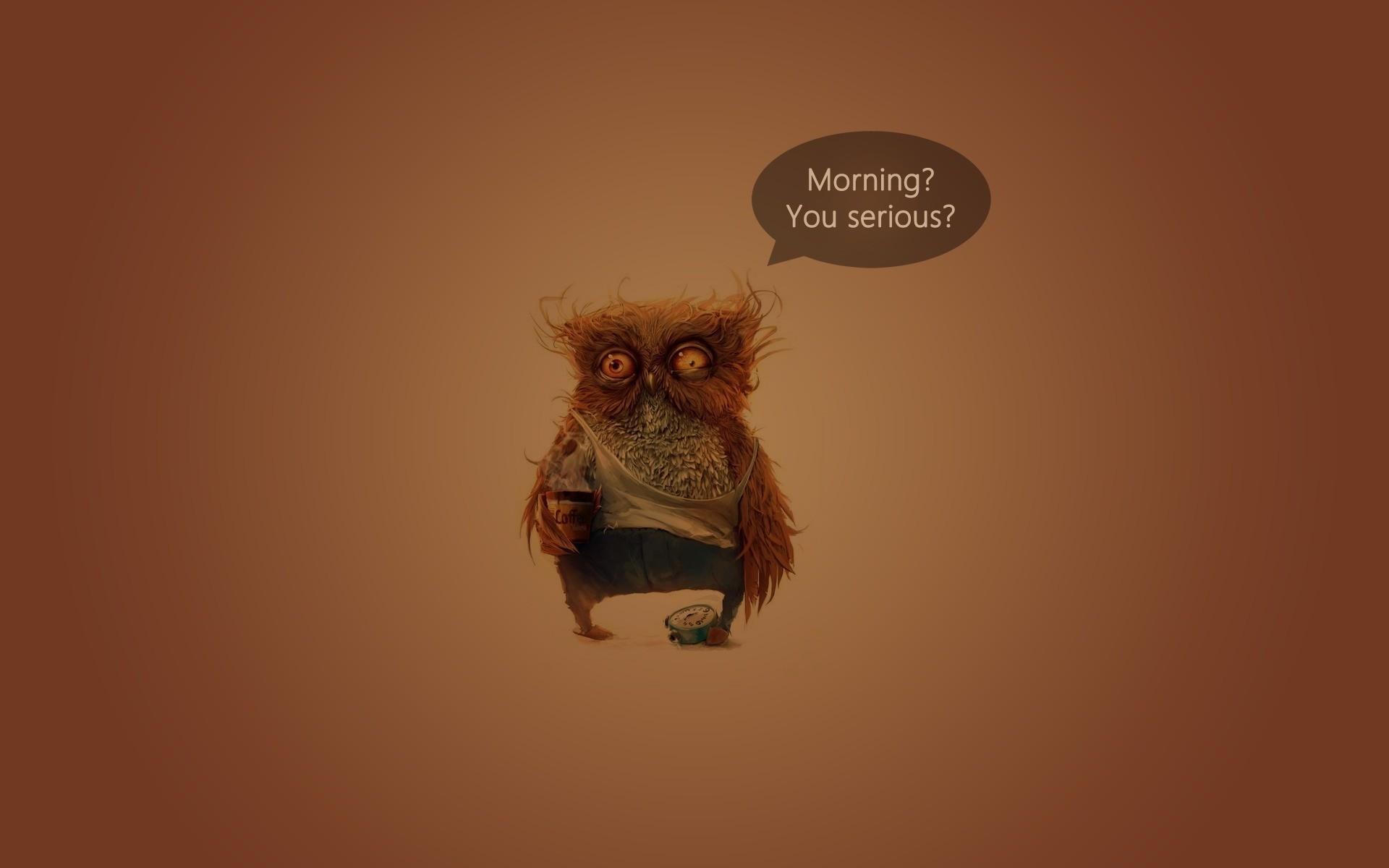 1920x1200 coffee, owl, humor wallpaper