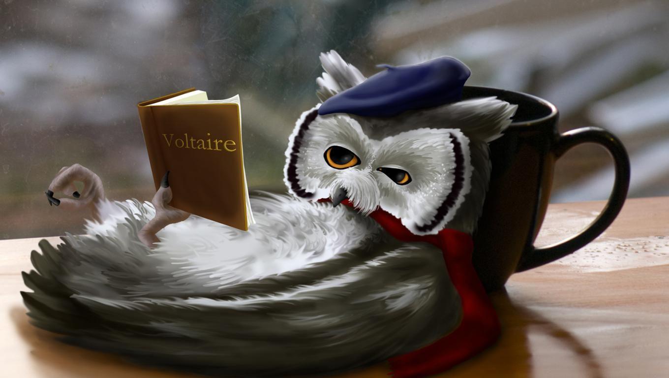 1360x768 Book Fantasy Art. Book art, Owl wallpaper, Owl