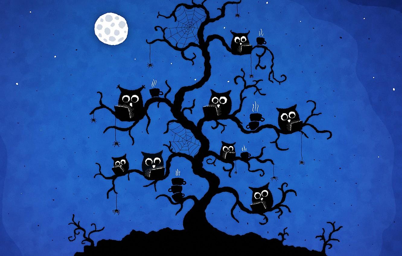 1332x850 Wallpaper birds, night, tree, coffee, web, vladstudio, owls, spider, internet cafe image for desktop, section разное