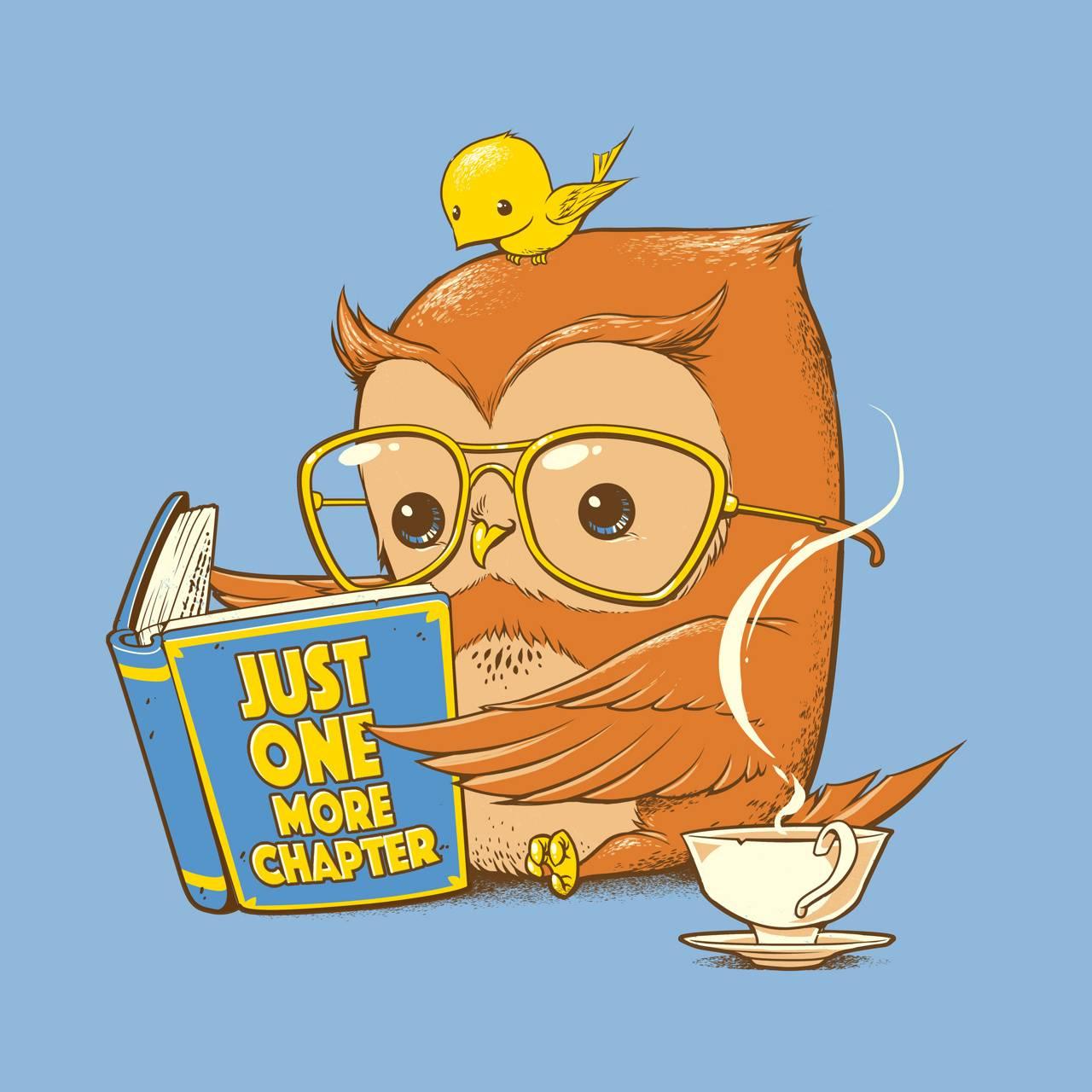 1280x1280 Download Owl Coffee Wallpaper HD By Tenshirok. Wallpaper