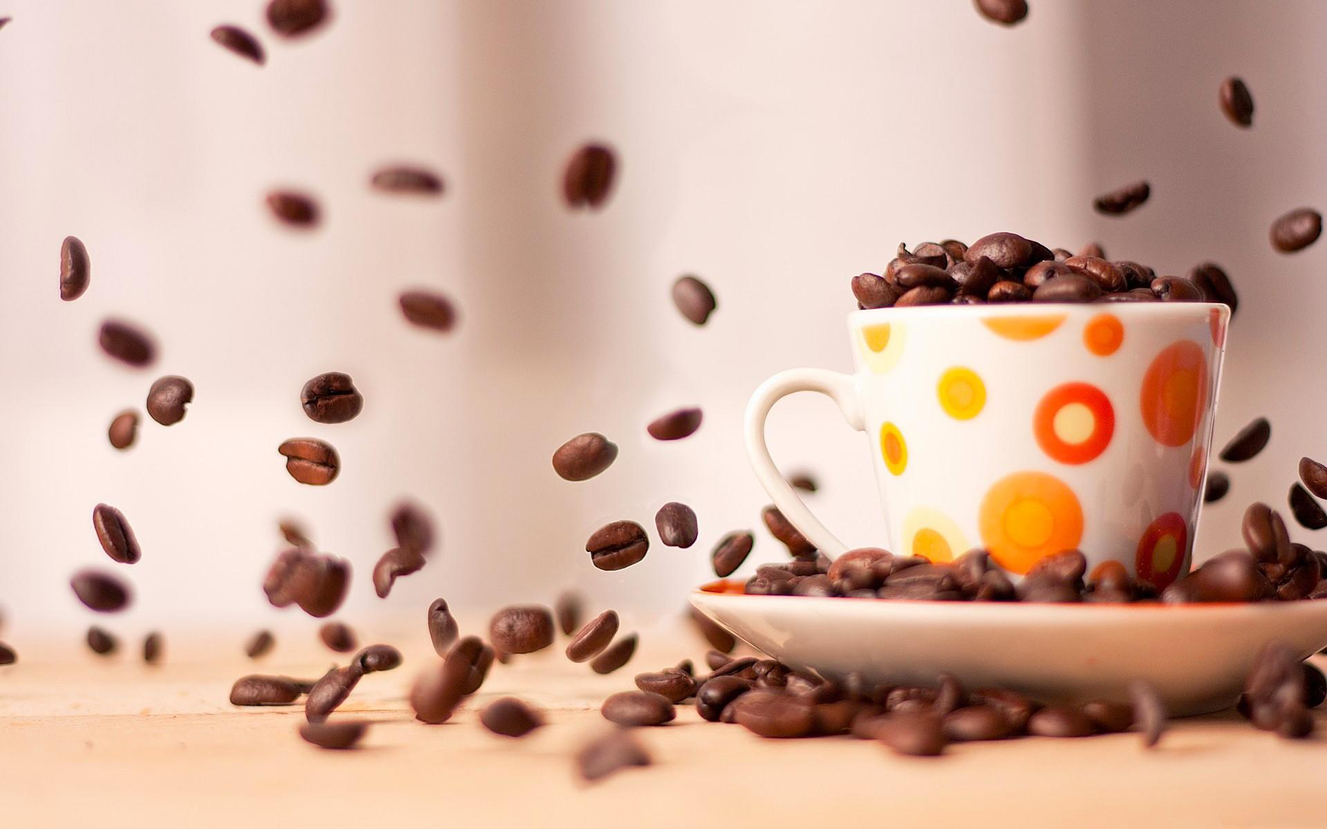 1920x1200 Funny Coffee Owl Wallpaper