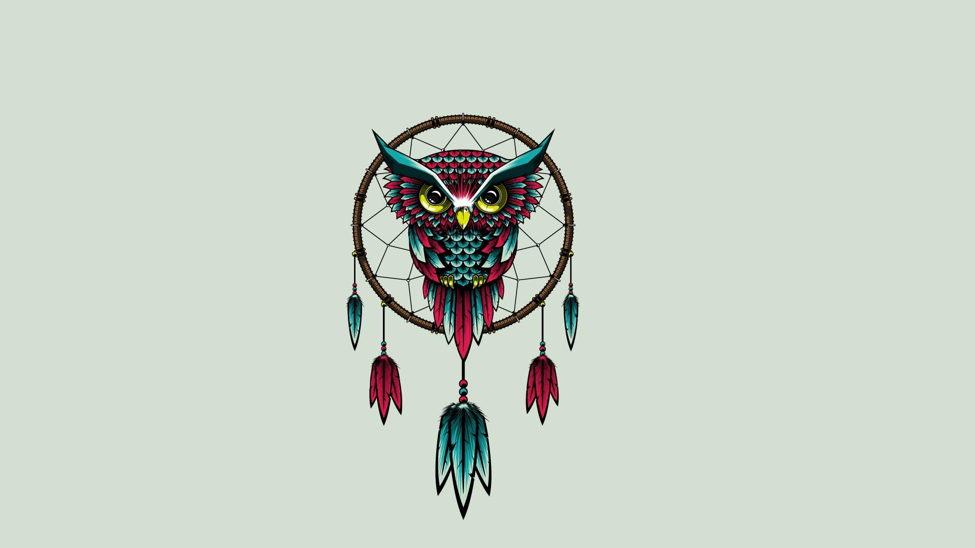 1920x1080 Download Coffee Owl Wallpaper Gallery