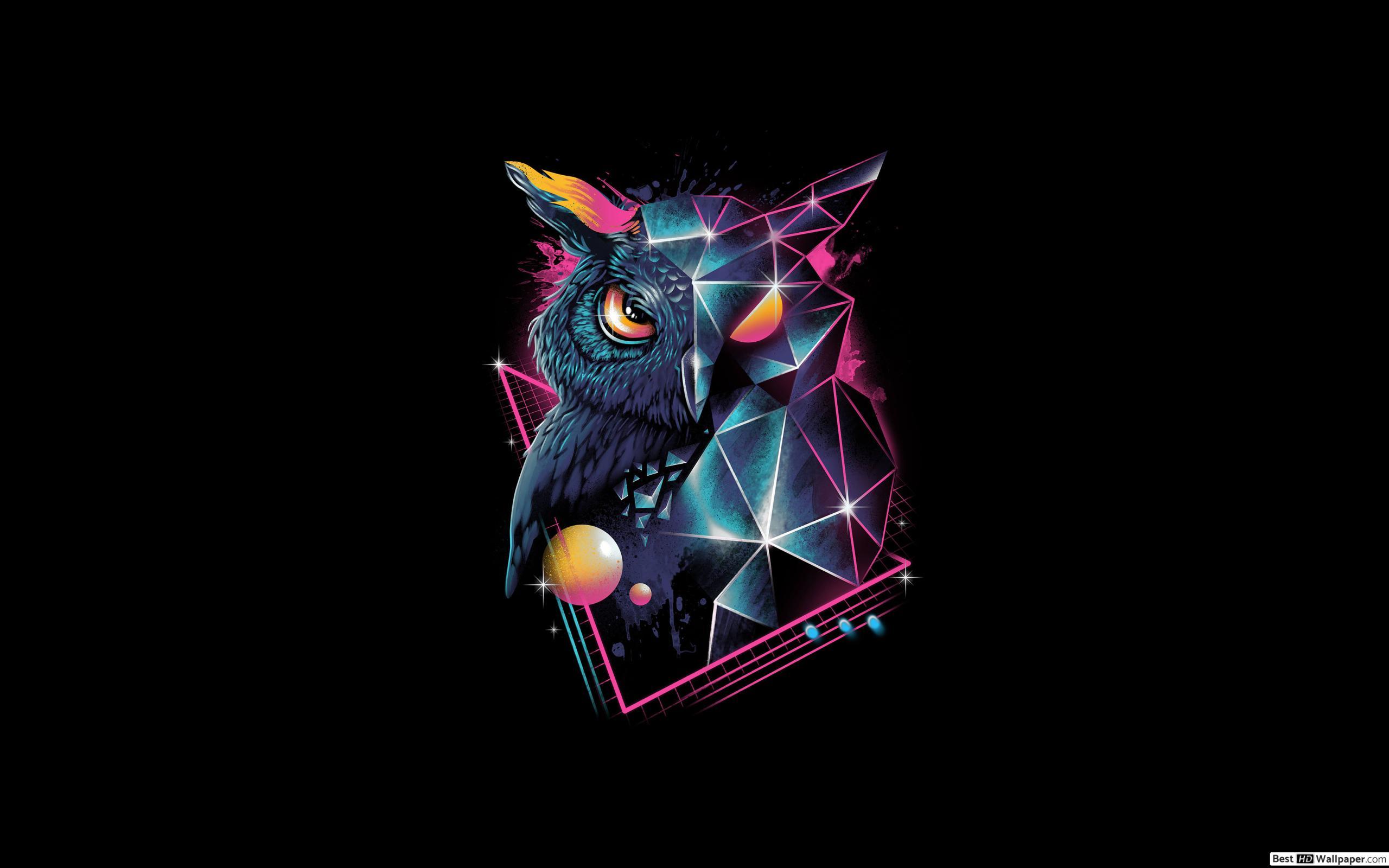 2560x1600 Retro Owl HD wallpaper download