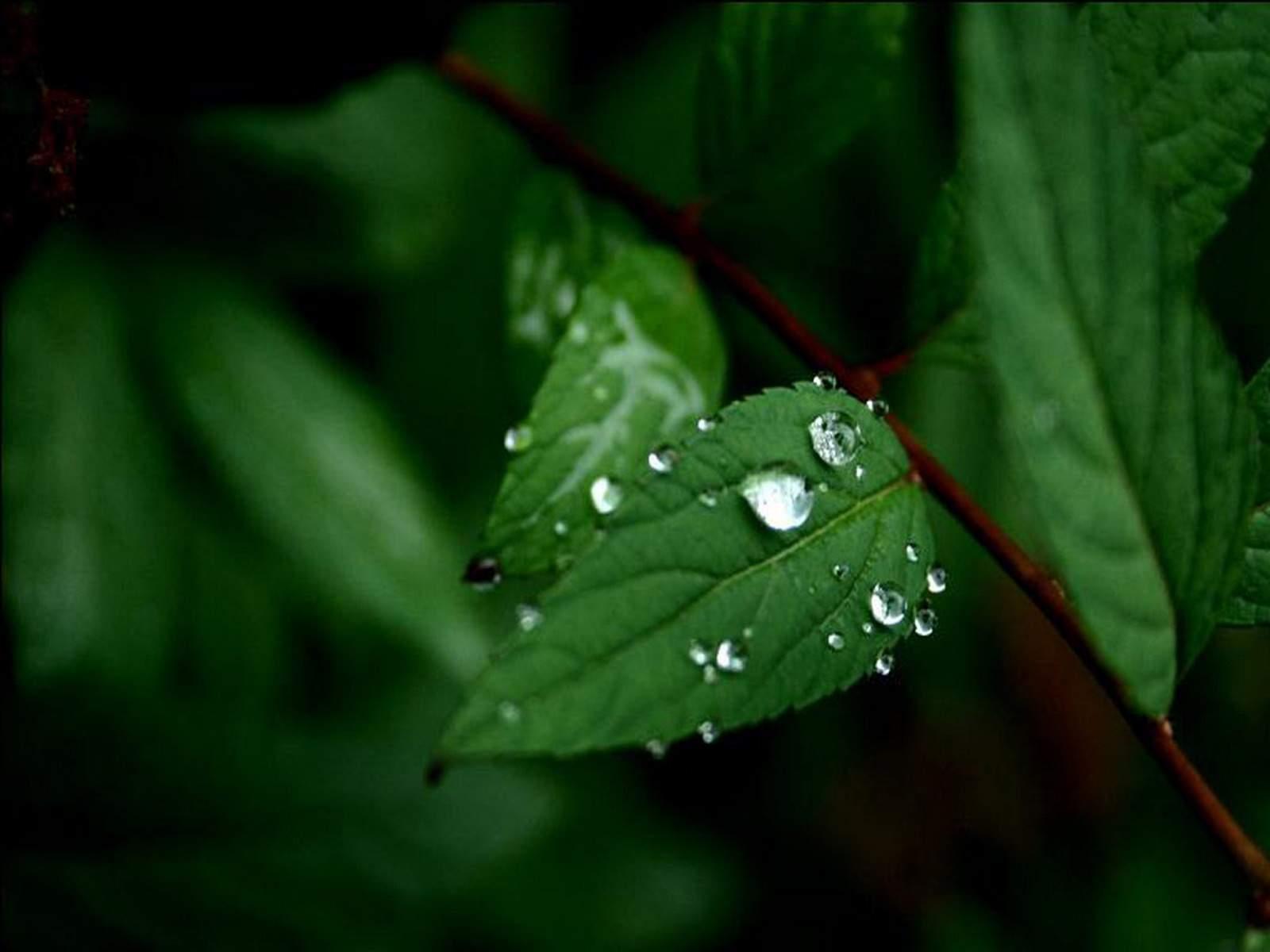 1600x1200 Nature Wallpaper Bible Verses