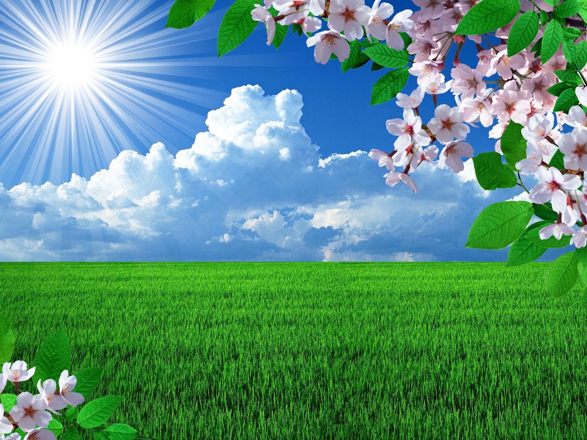 1920x1440 læbe Betjene blandt background desktop happy nature letvægt i morgen hektar
