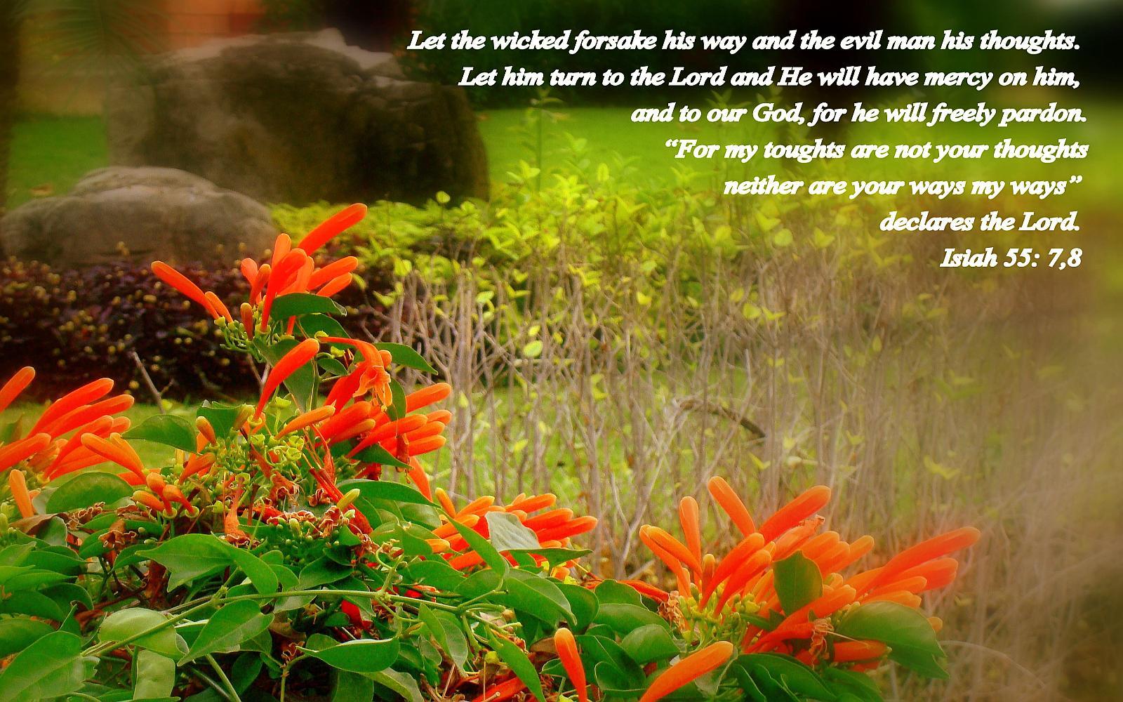 1600x1000 Large size Bible versed Scenic, Nature, wallpaper