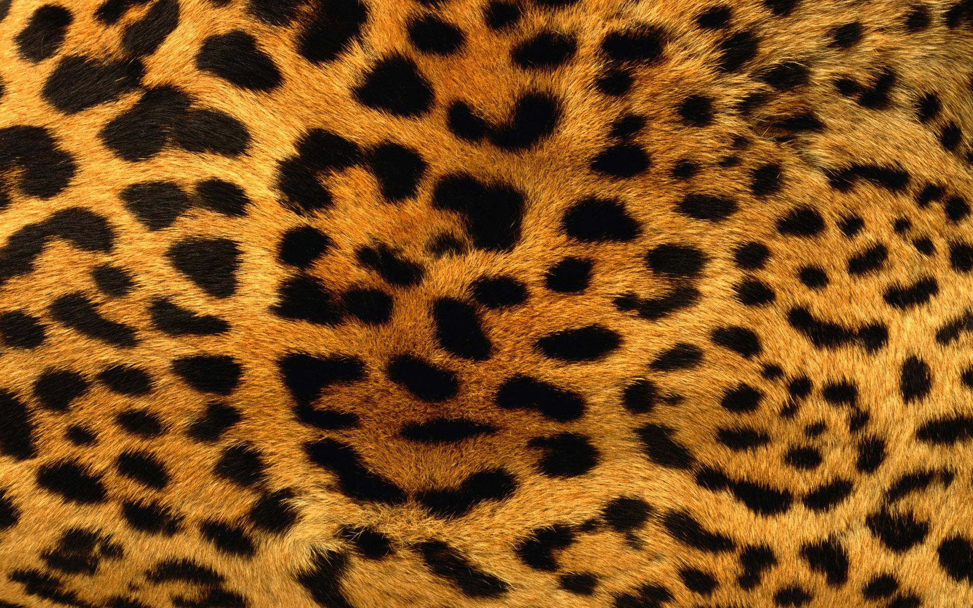 1920x1200 Leopard Print Background Wallpaper