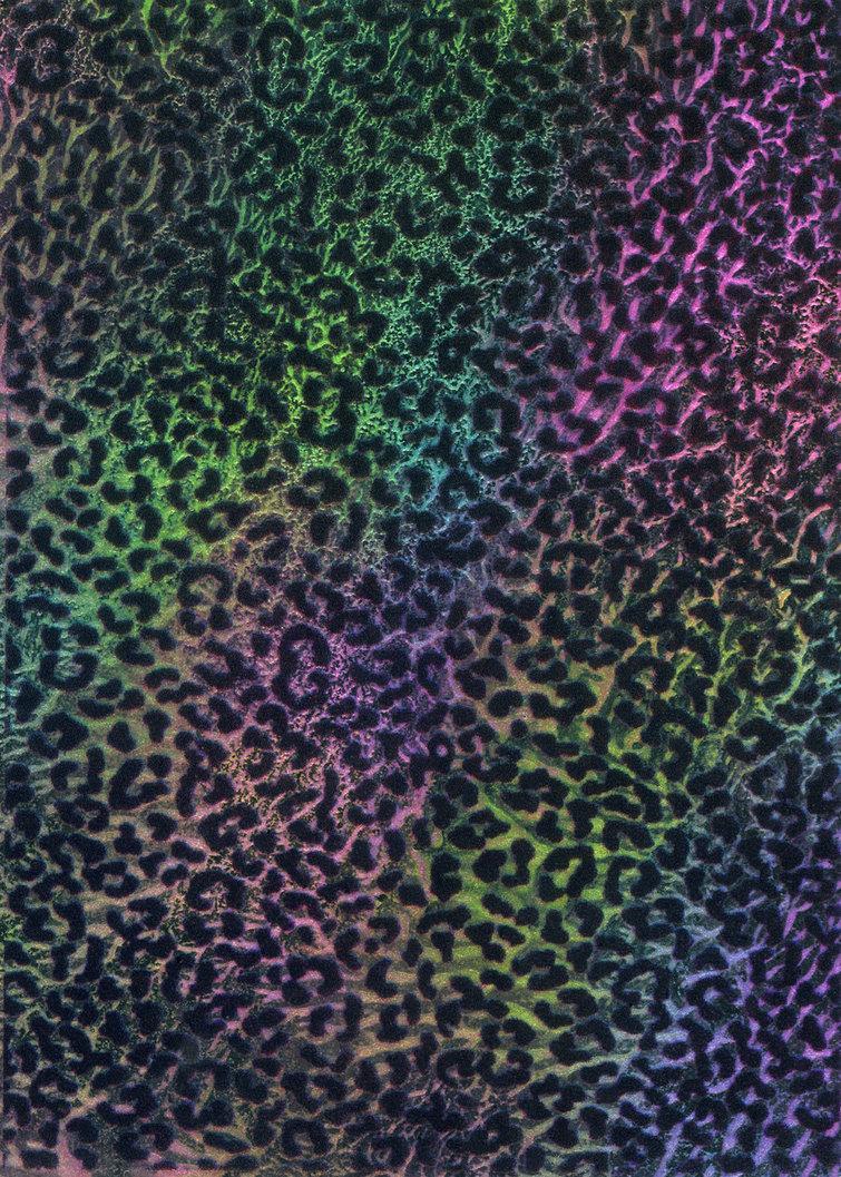 755x1057 Rainbow Wallpaper Cheetah Print