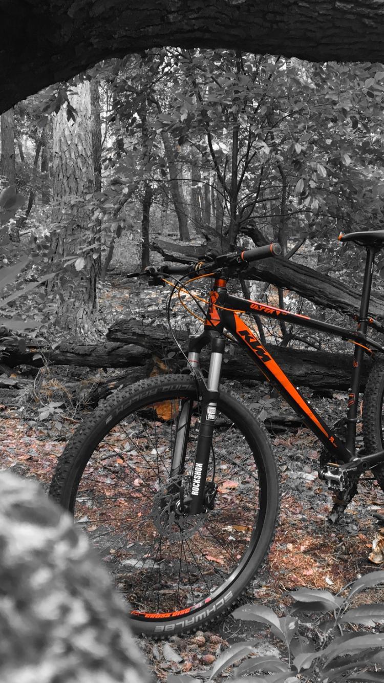 750x1334 Bicycle Phone Wallpaper, HD Bicycle Phone Background
