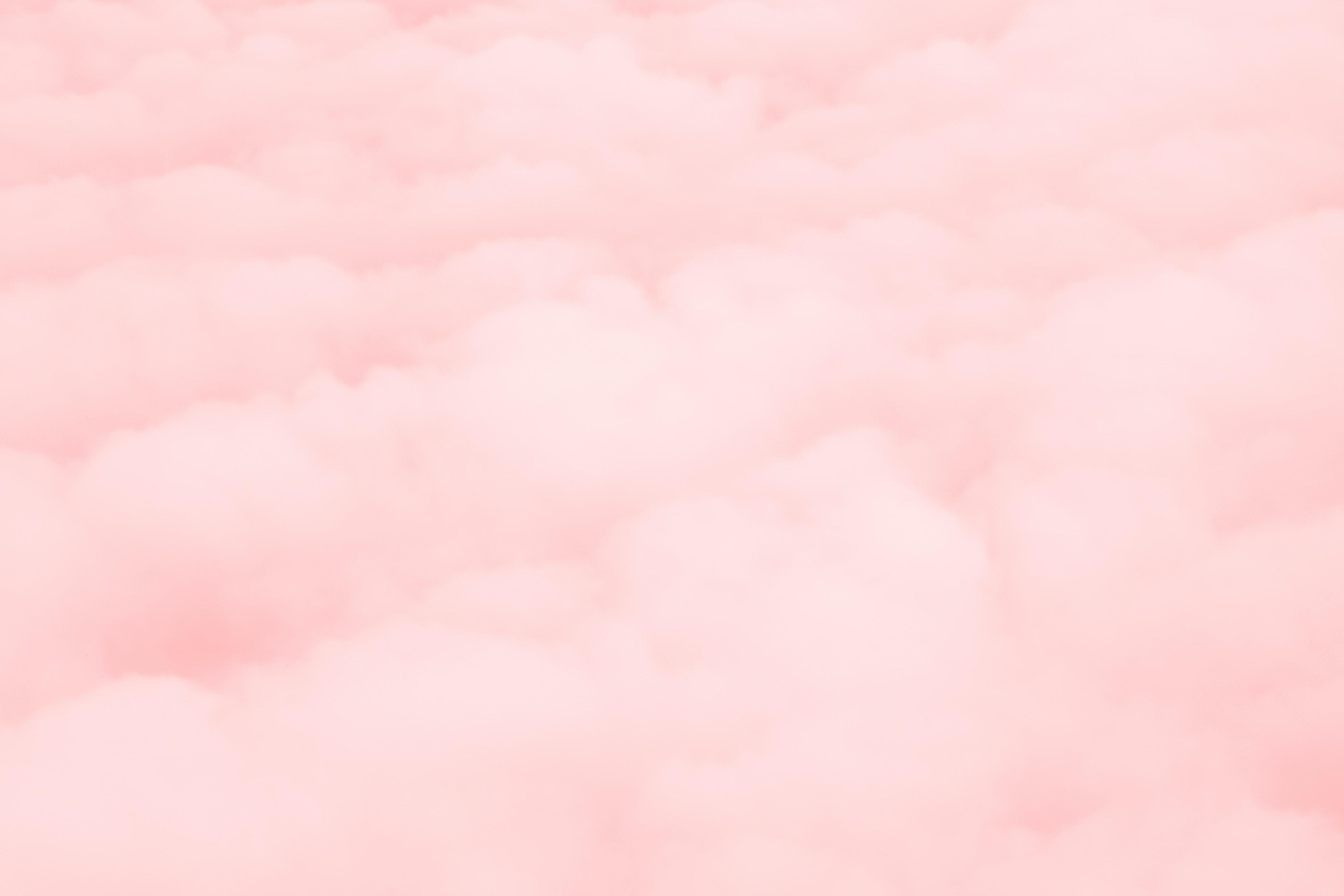 3984x2656 Pink Photo, Download Free Pink & HD Image