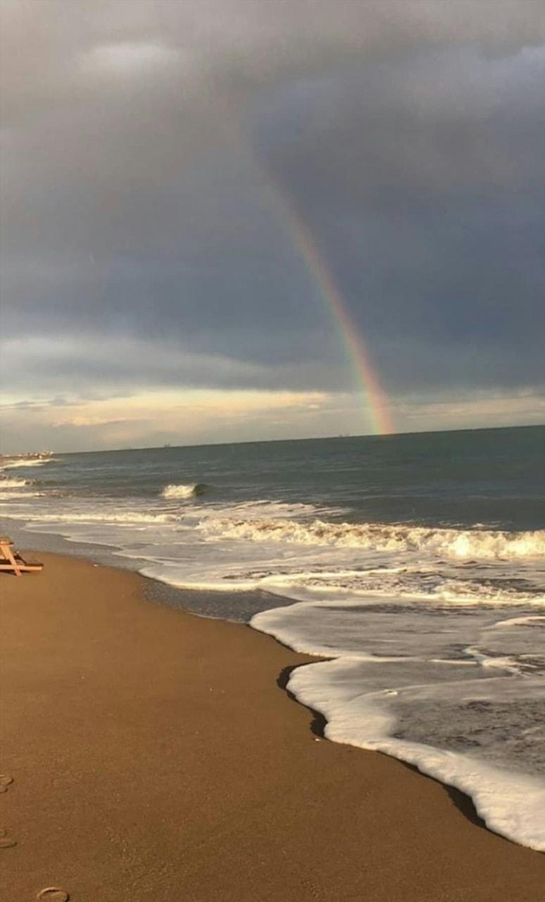 774x1280 beach, aesthetic and wallpaper