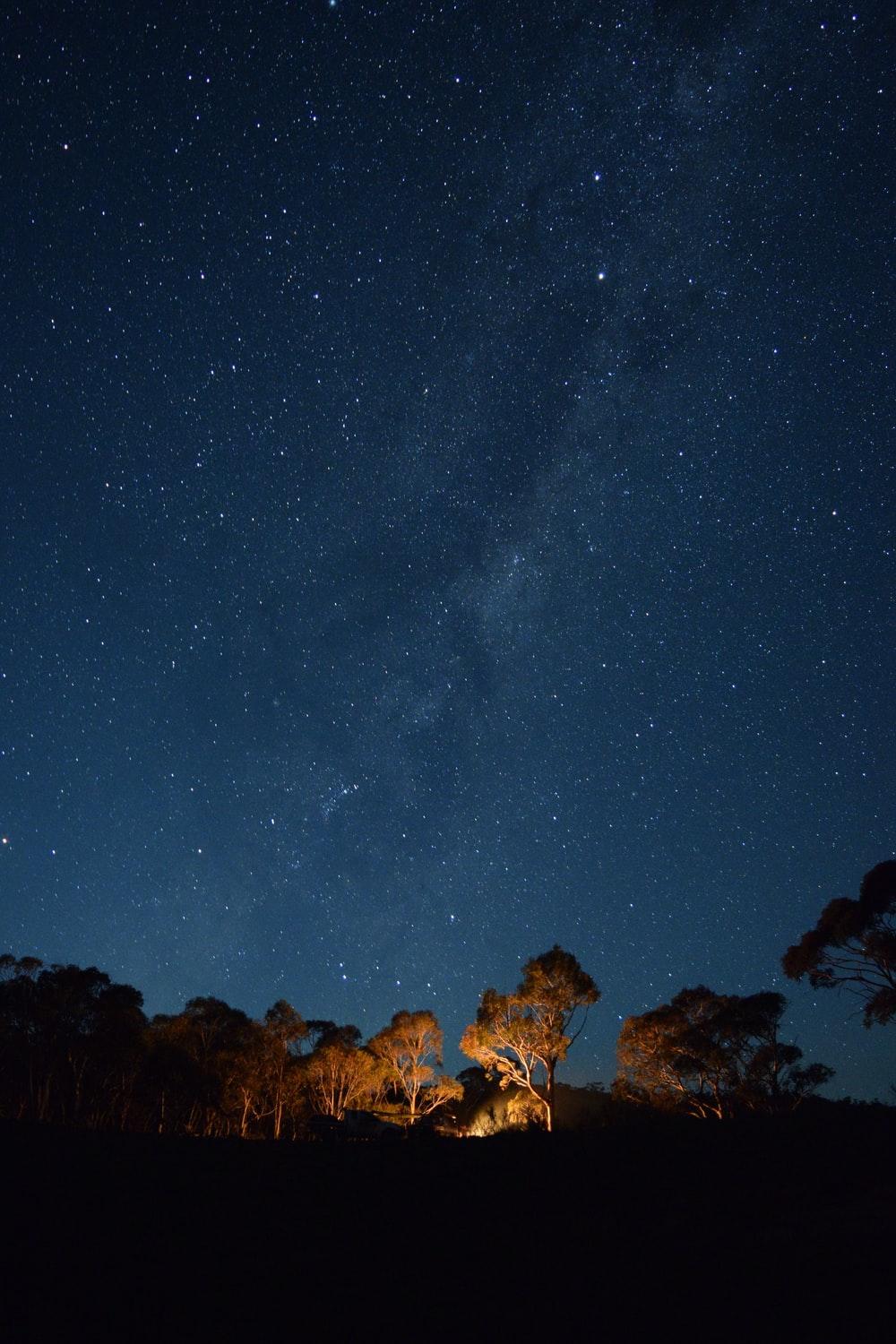 1000x1500 Cairns Australia Picture. Download Free Image
