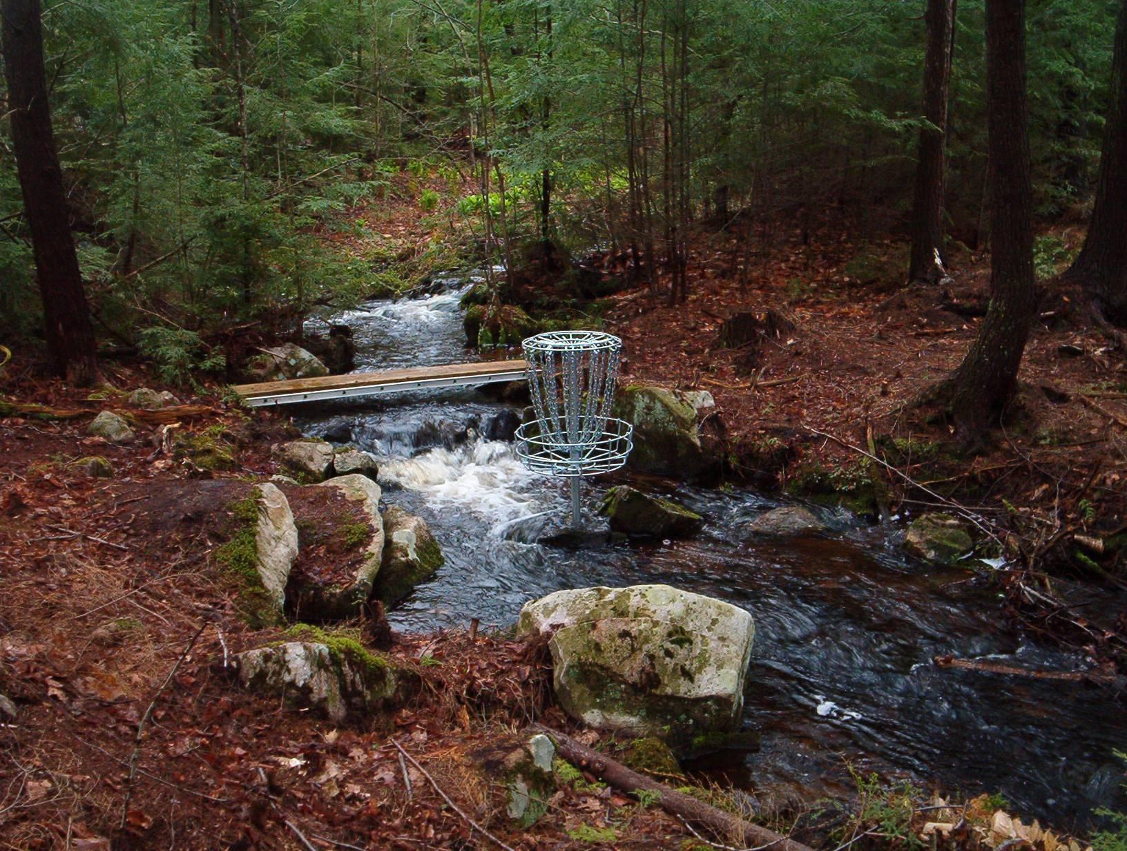 1632x1232 Disc Golf Desktop Background Golf Course Review