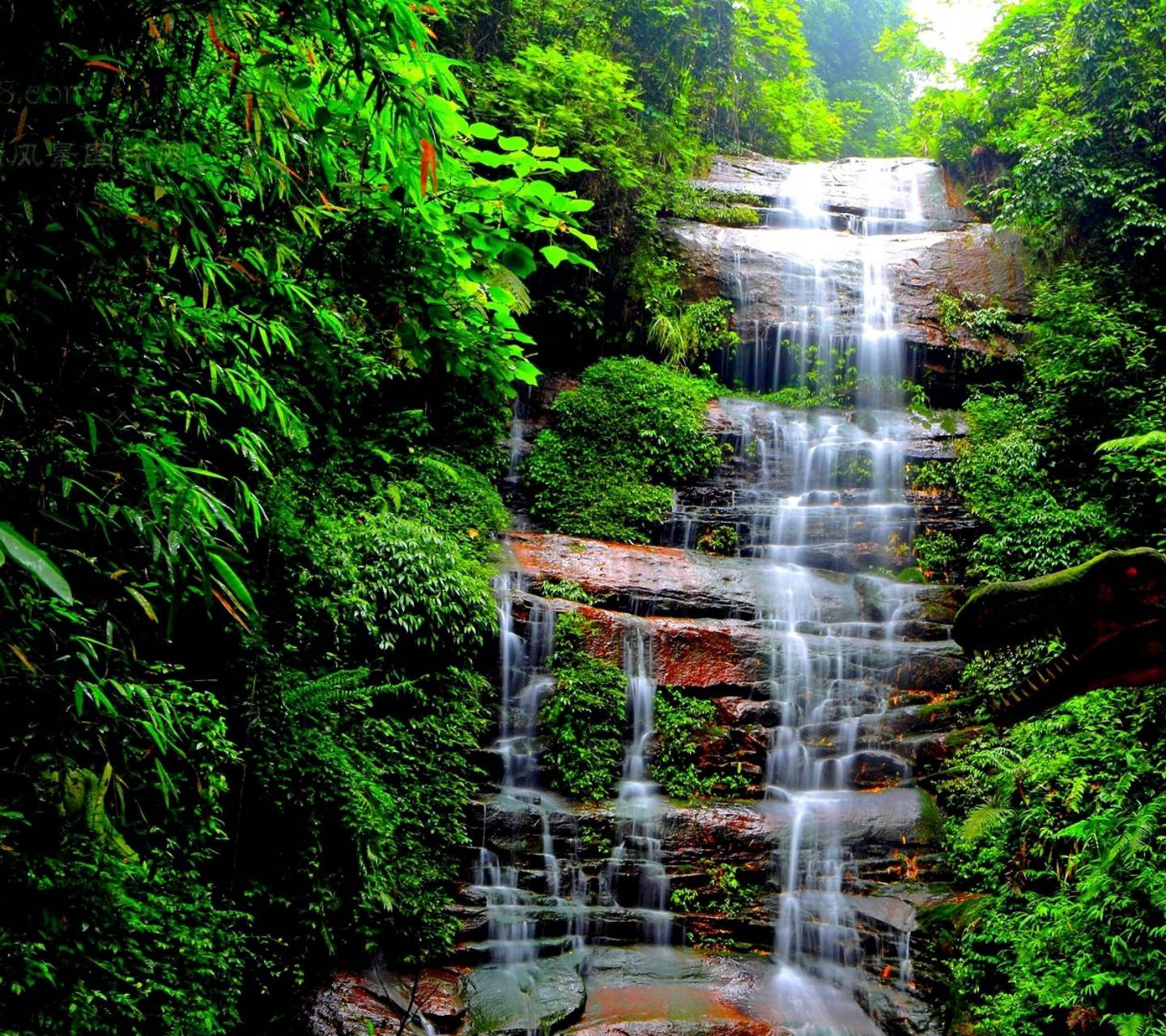 Jungle Waterfall Wallpapers - Top Free Jungle Waterfall Backgrounds ...