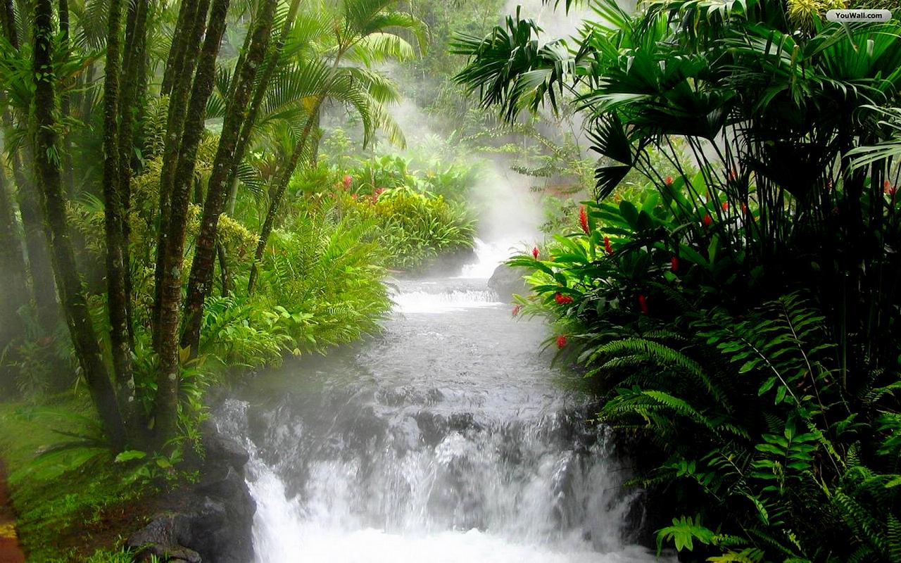 1280x800 Waterfall Jungle HD Wallpaper