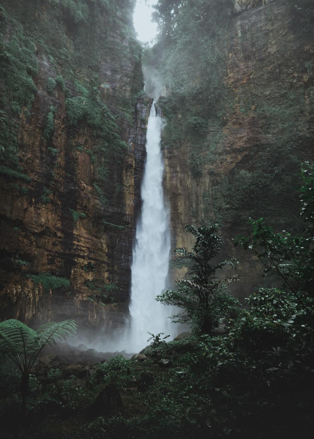 1000x1400 Jungle Waterfall Picture. Download Free Image