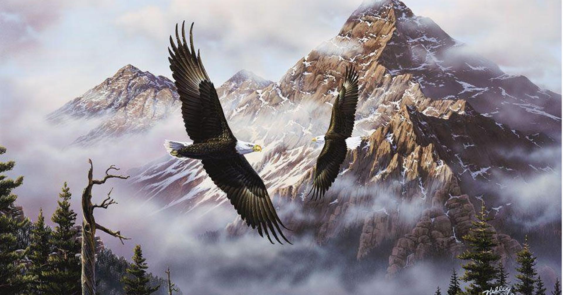 1920x1008 Desktop american flag and eagle image