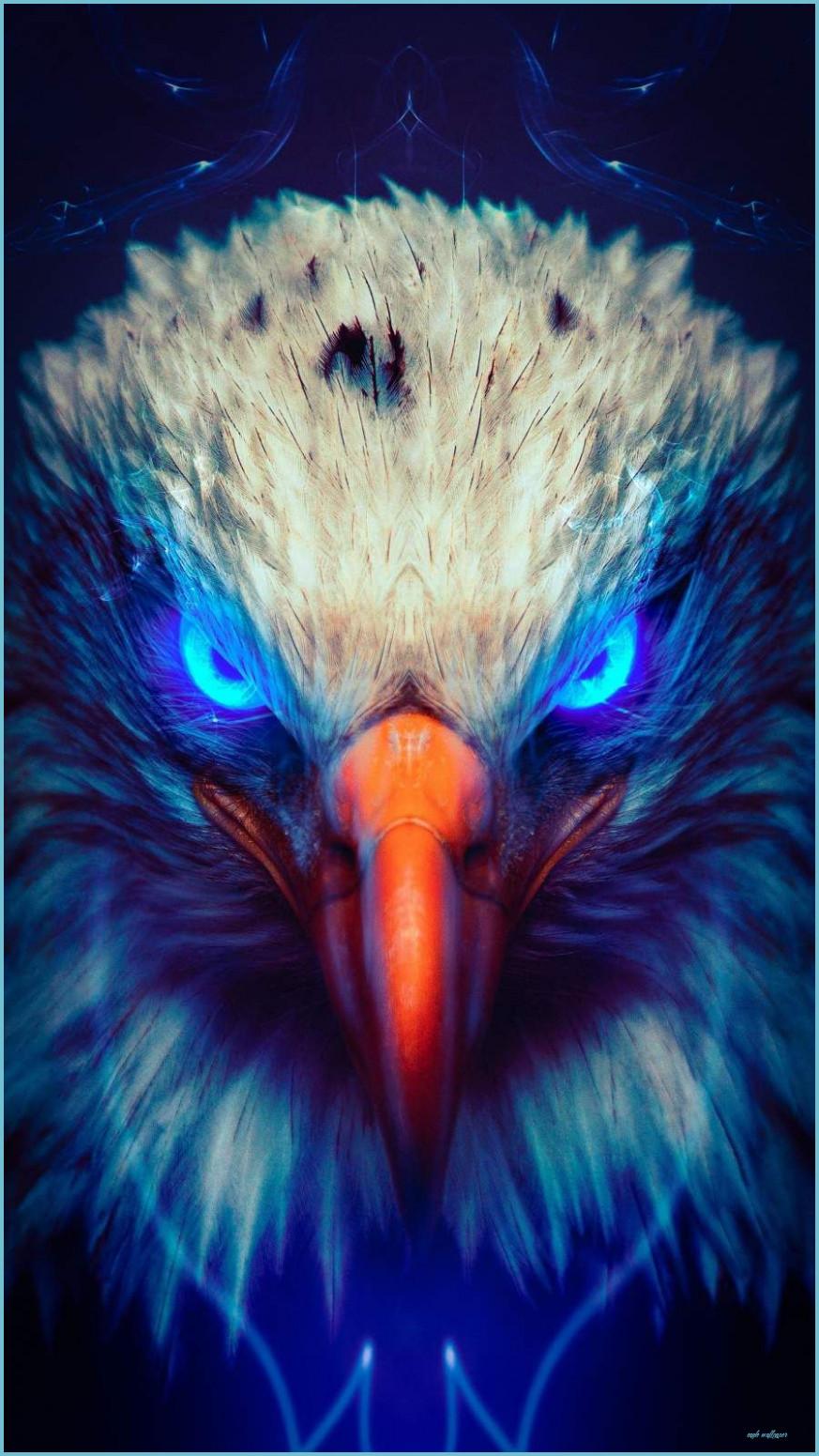 873x1551 Eagle IPhone Wallpaper Wallpaper Eagle Wallpaper