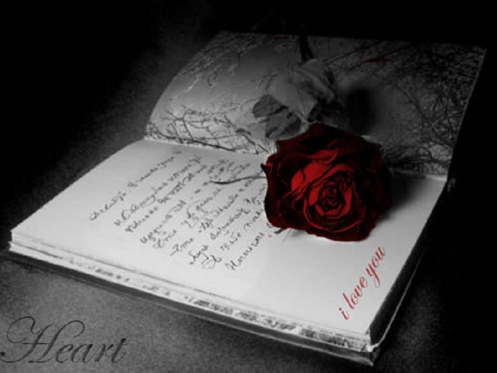 1024x768 Book Lover Background. Facebook Wallpaper, MacBook Wallpaper and Attractive Wallpaper Facebook Profile for Girls