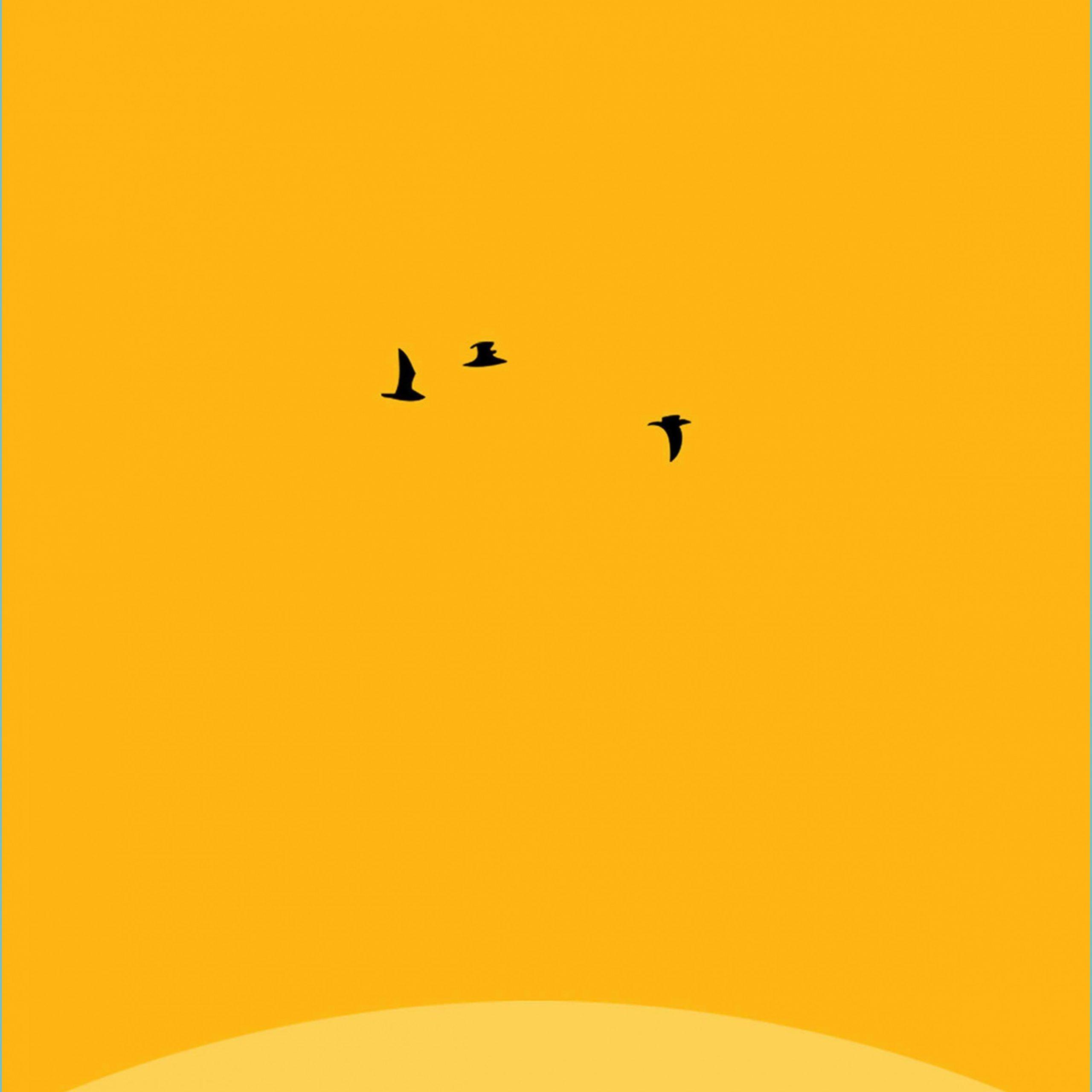 2560x2560 Yellow Wallpaper PDF Cool Yellow Wallpaper For Android