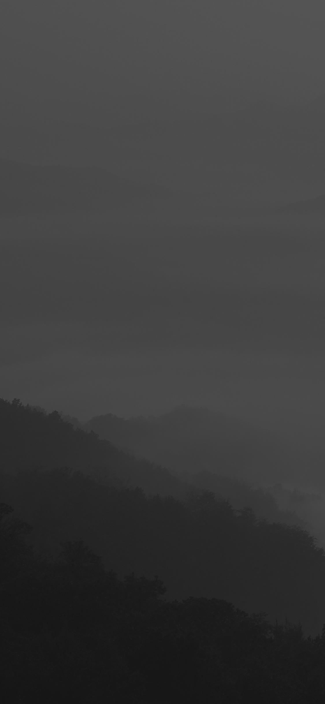 1125x2436 iPhoneXpapers fog dark nature
