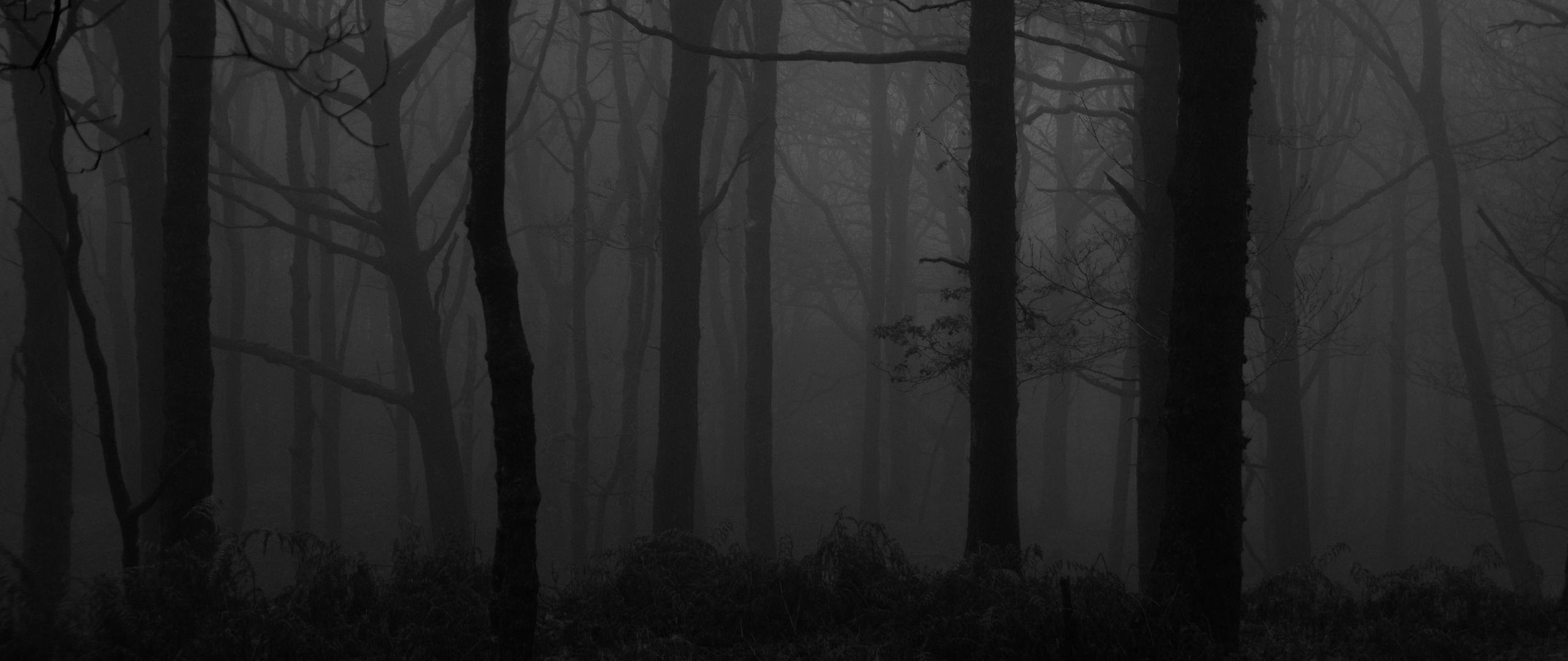 2560x1080 Download wallpaper 2560x1080 forest, fog, bw, trees, dark dual wide 1080p HD background