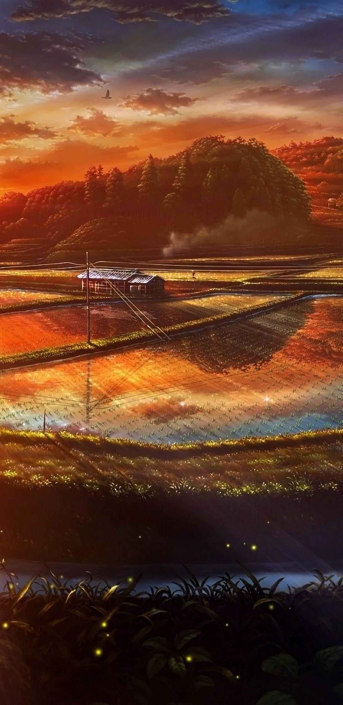 1440x2960 Sunset Paddy Field Nature Scenery Landscape Anime 4K Wallpaper