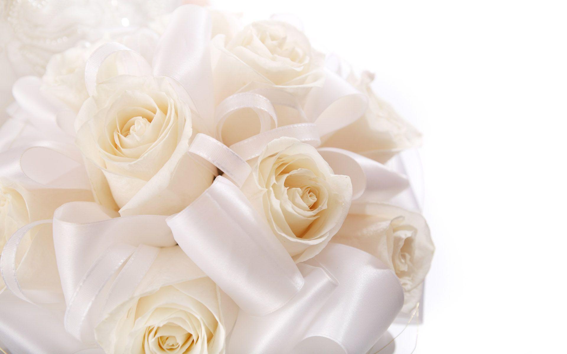 1920x1200 Most Downloaded Wedding Flowers Wallpaper Website Background